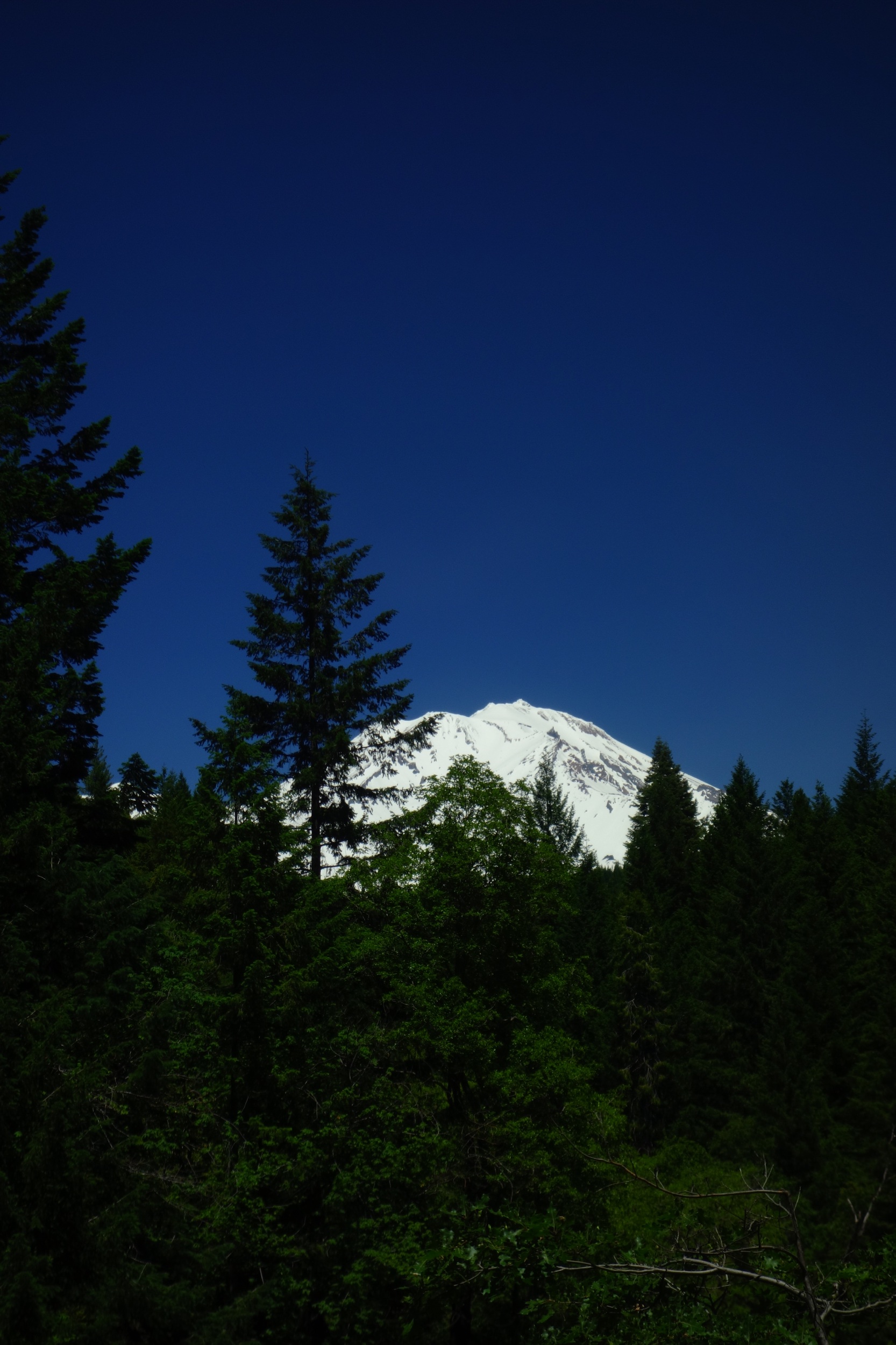 Mt Shasta Spiritual Tours