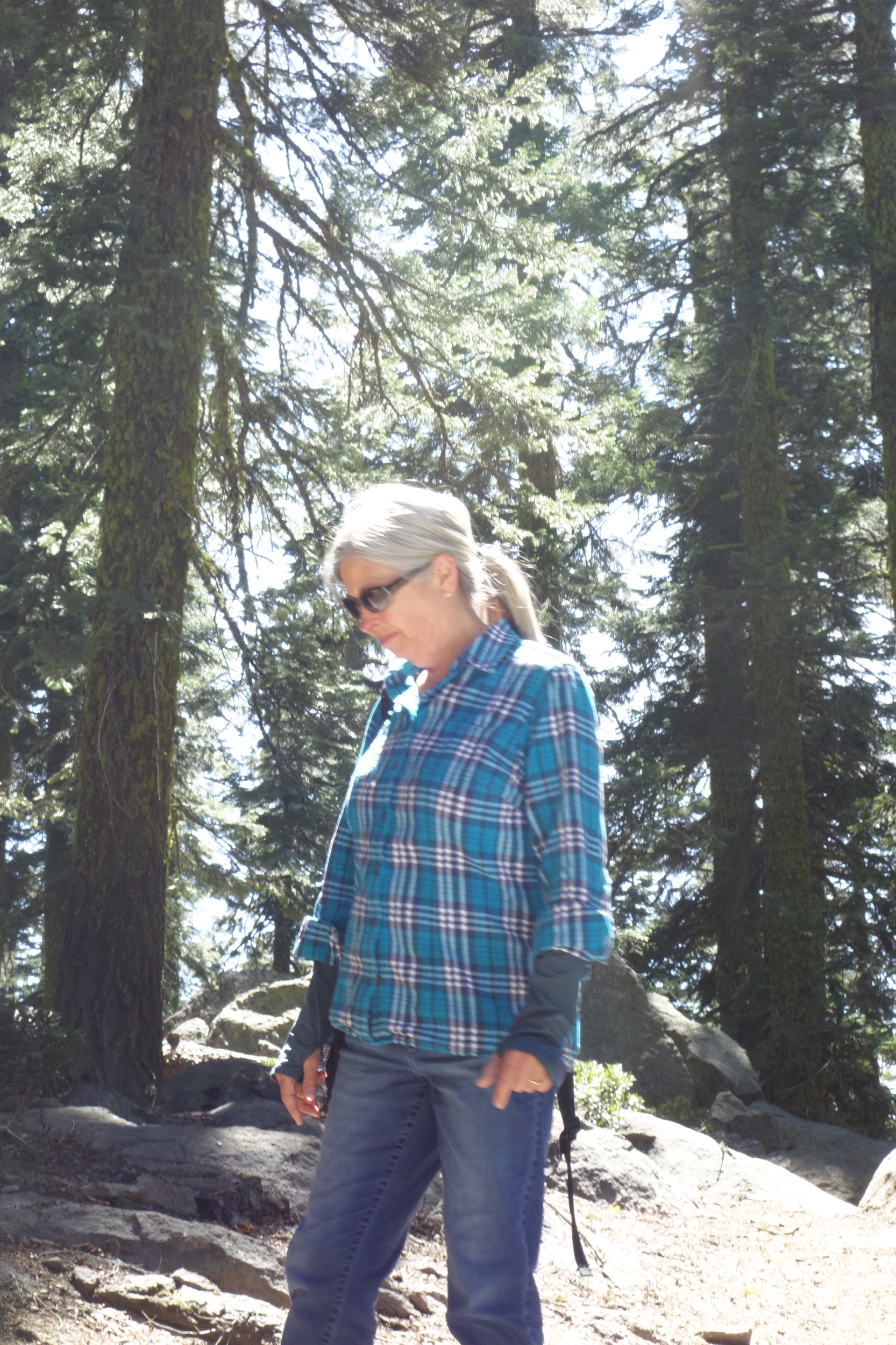 Mt Shasta Spiritual Tours