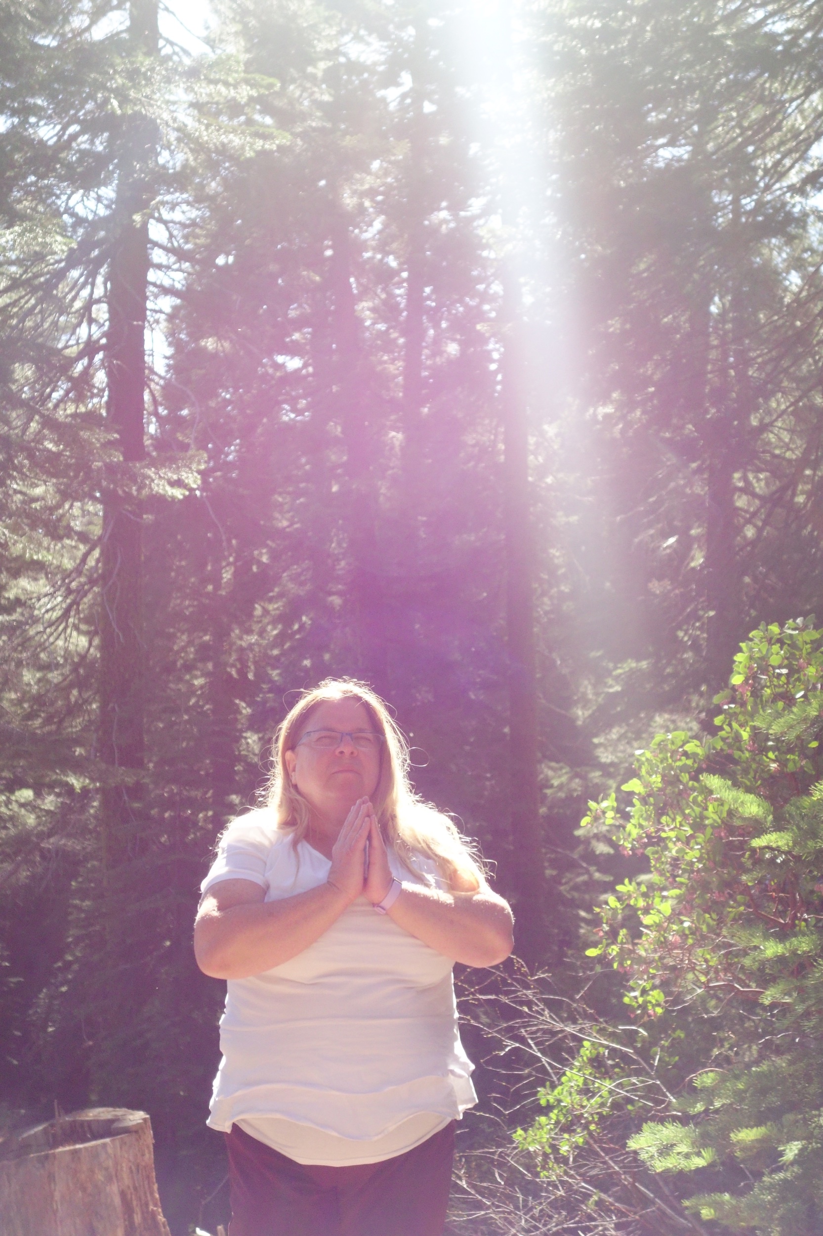 Mt Shasta Spiritual Tours