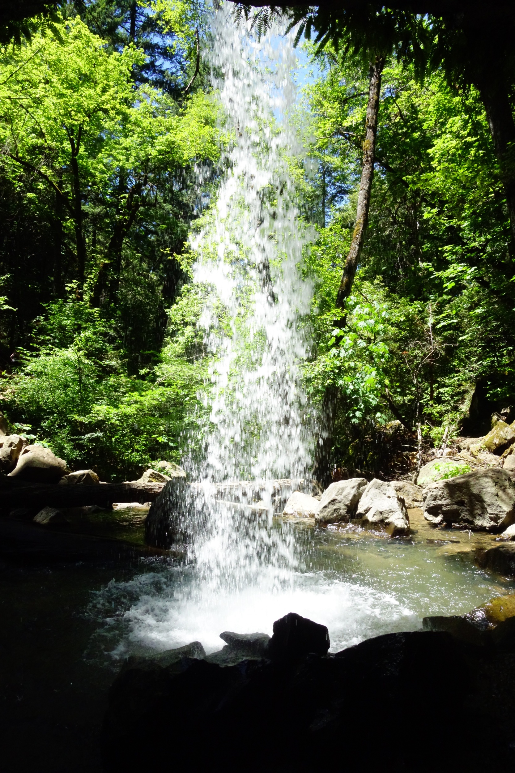 Mt Shasta Spiritual Tours