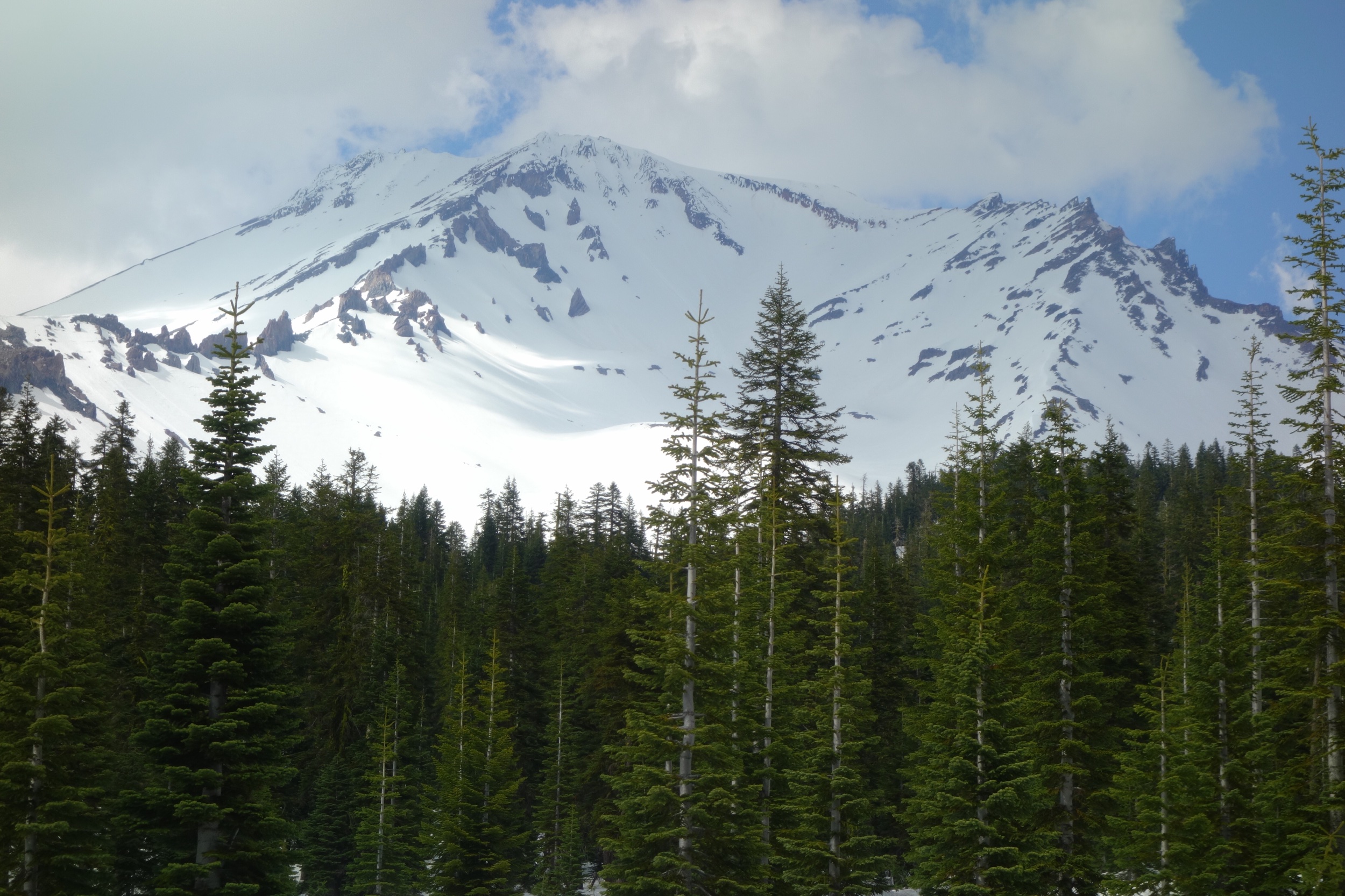 Mt Shasta Spiritual Tours