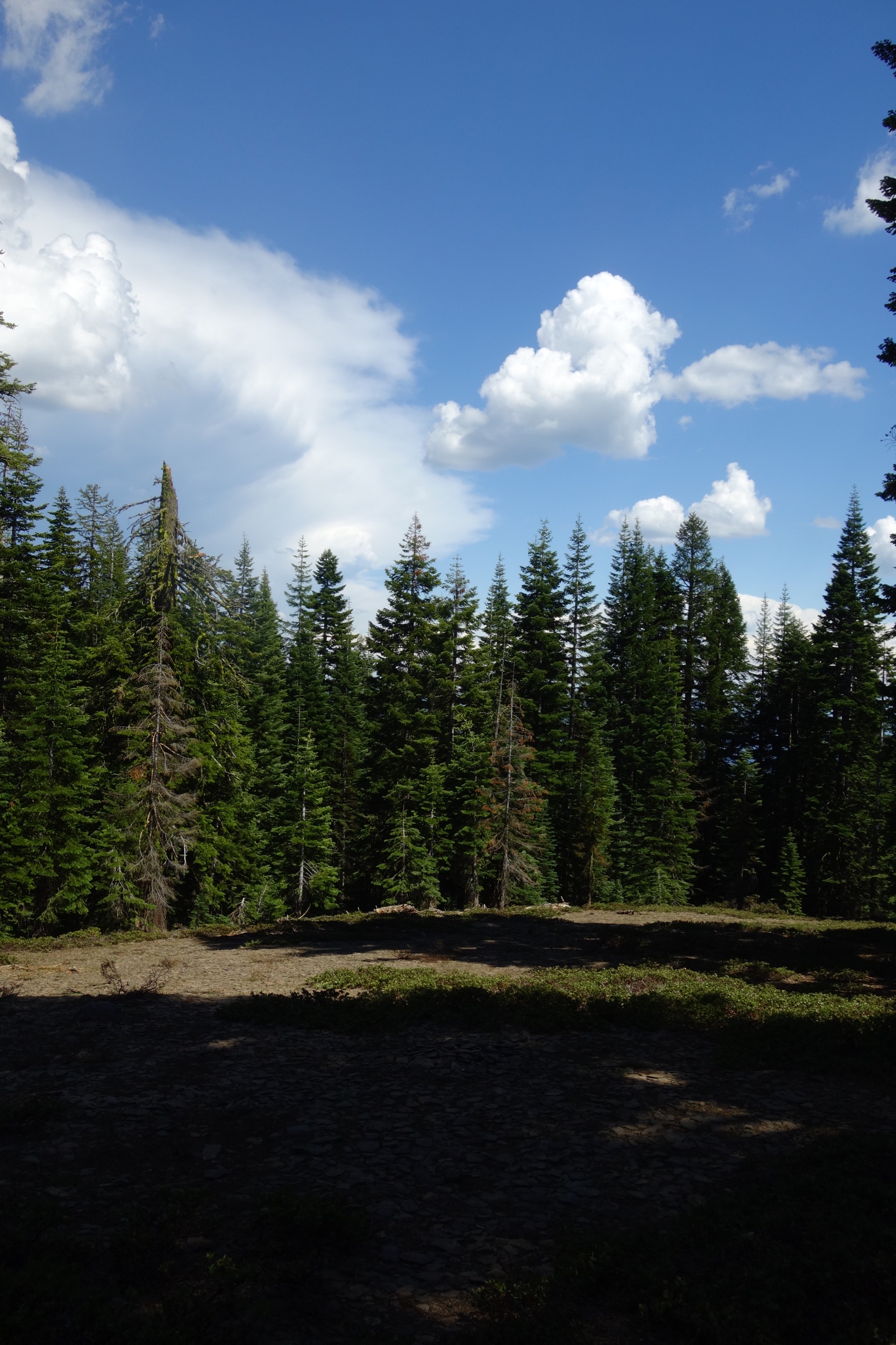 Mt Shasta Spiritual Tours