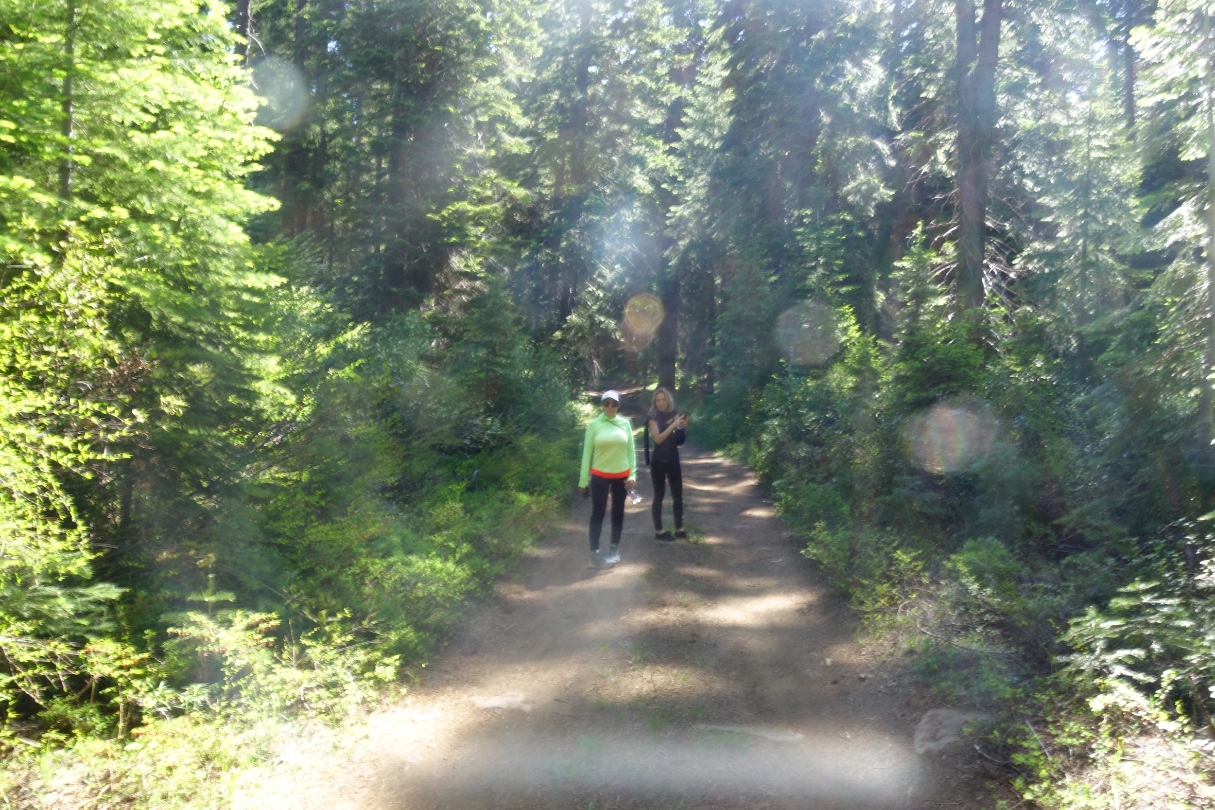 Mt Shasta Spiritual Tours