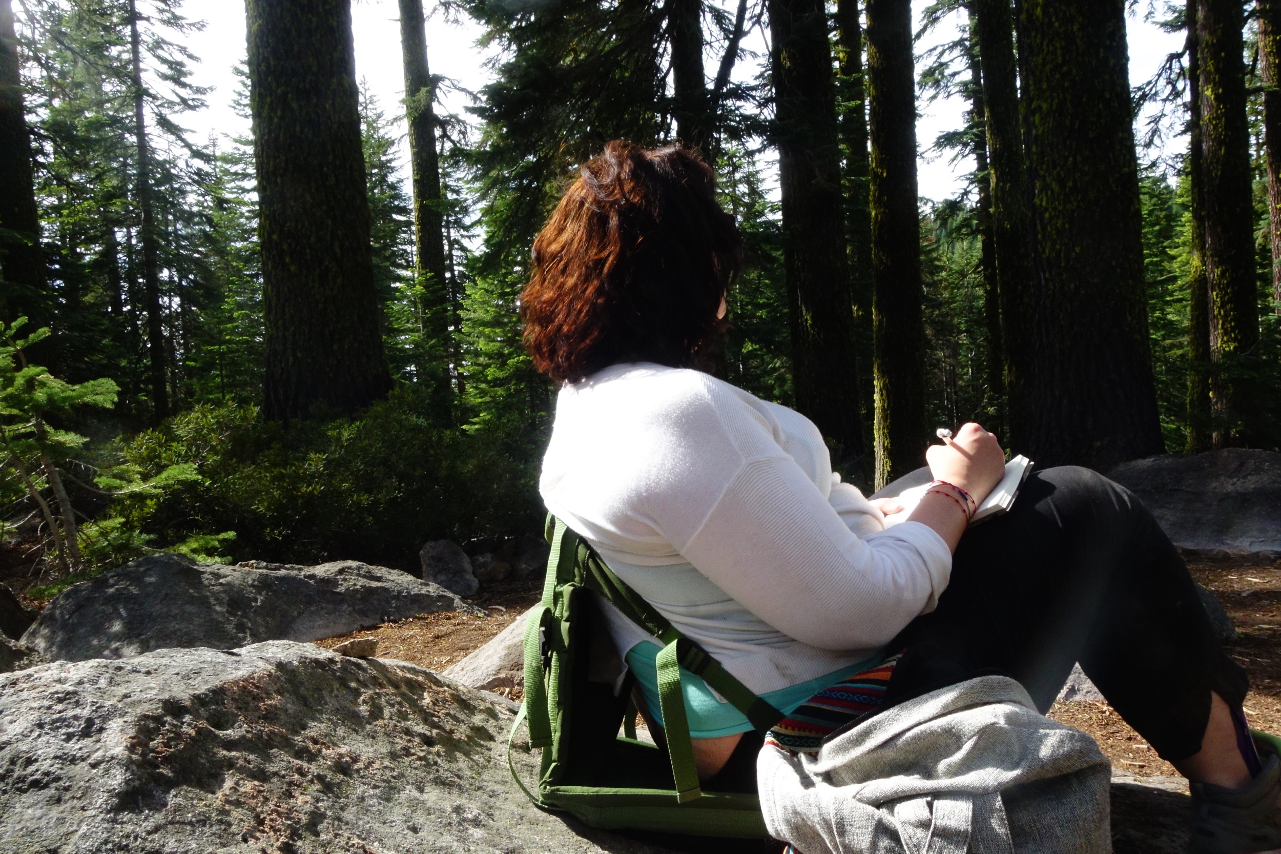 Mt Shasta Spiritual Tours