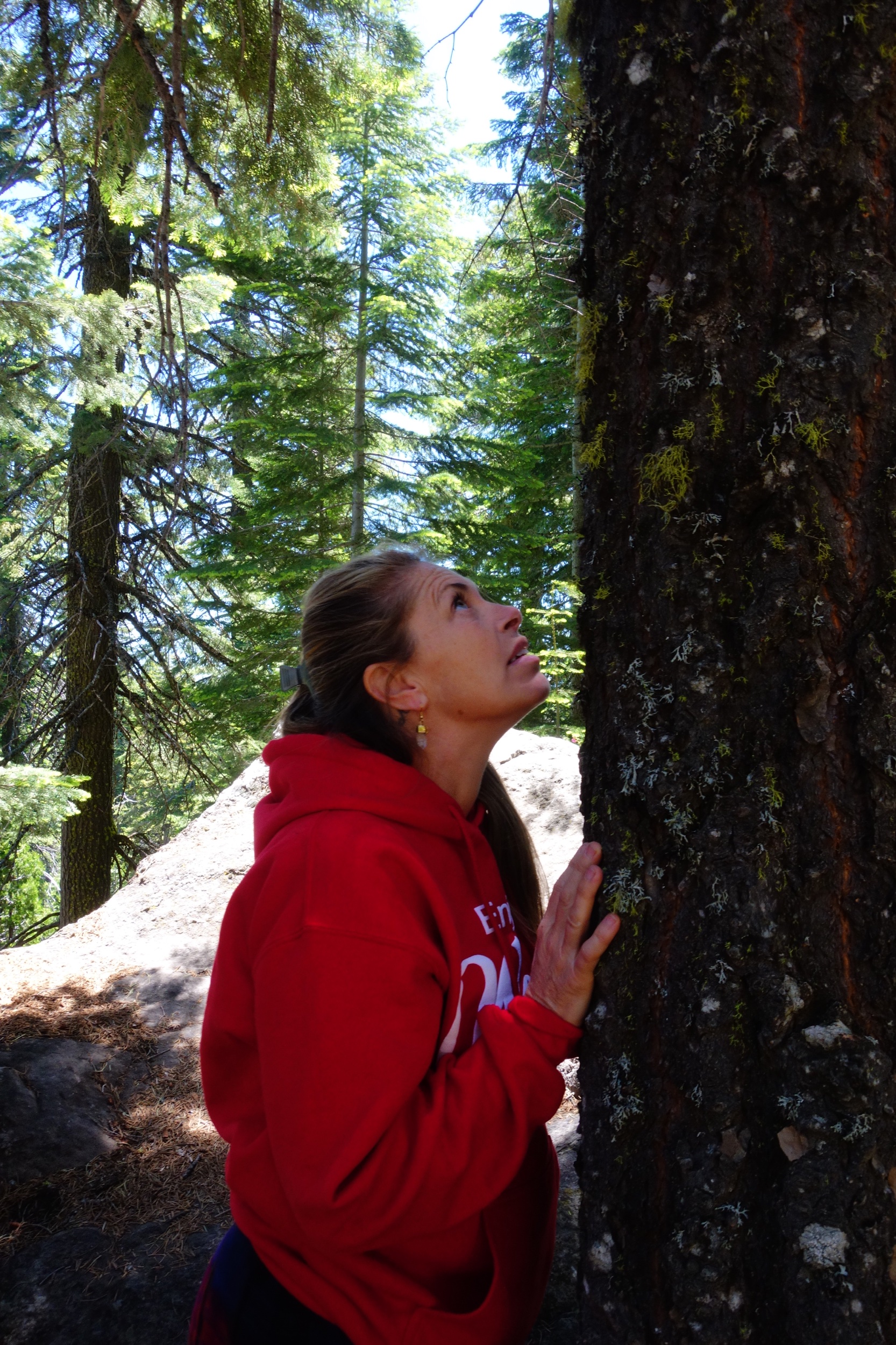 Mt Shasta Spiritual Tours