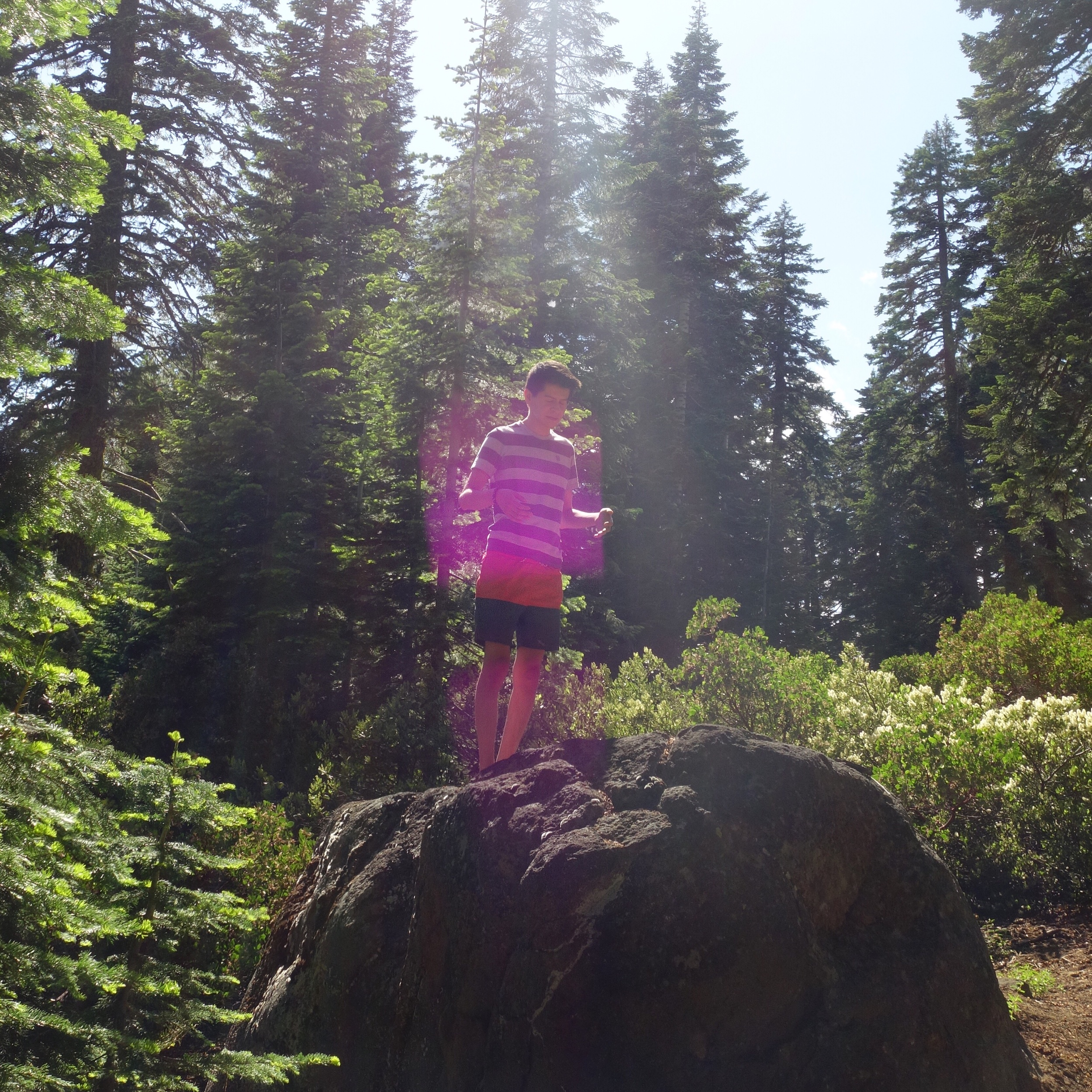 Mt Shasta Spiritual Tours