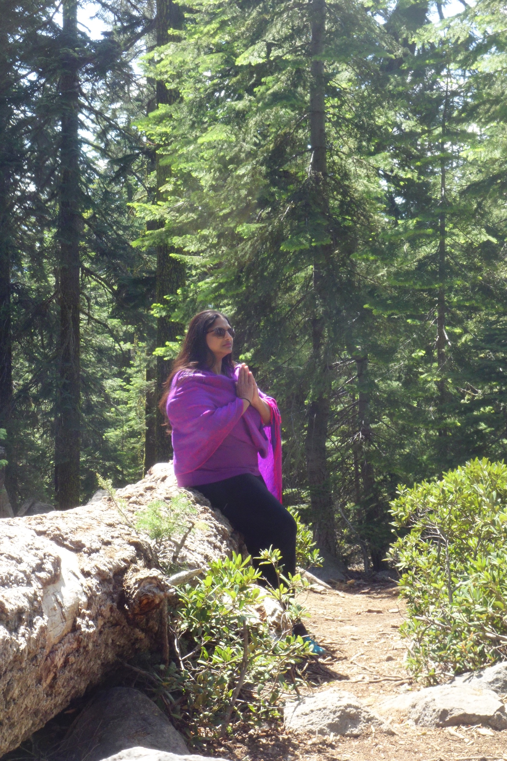 Mt Shasta Spiritual Tours