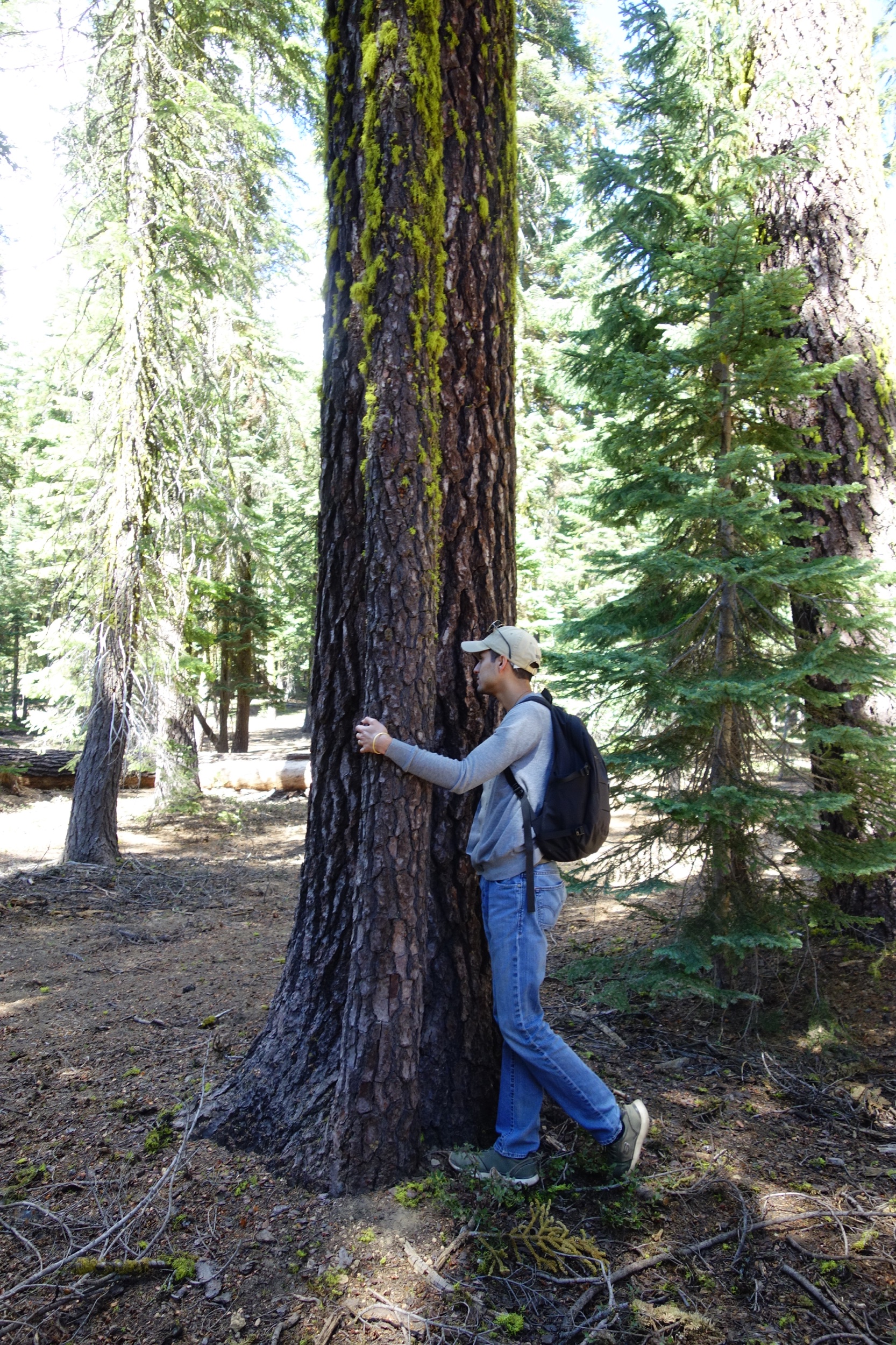 Mt Shasta Spiritual Tours