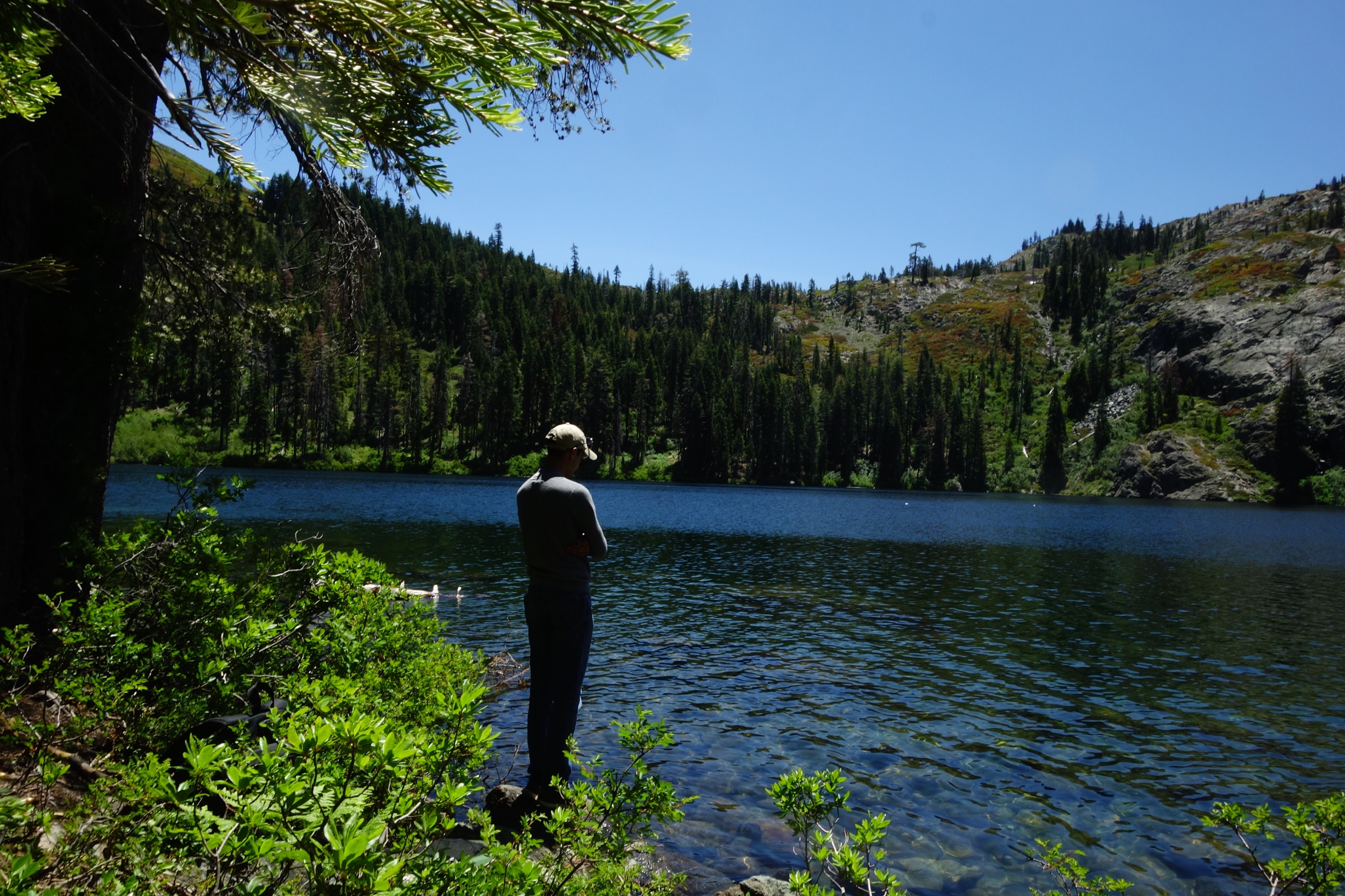 Mt Shasta Spiritual Tours