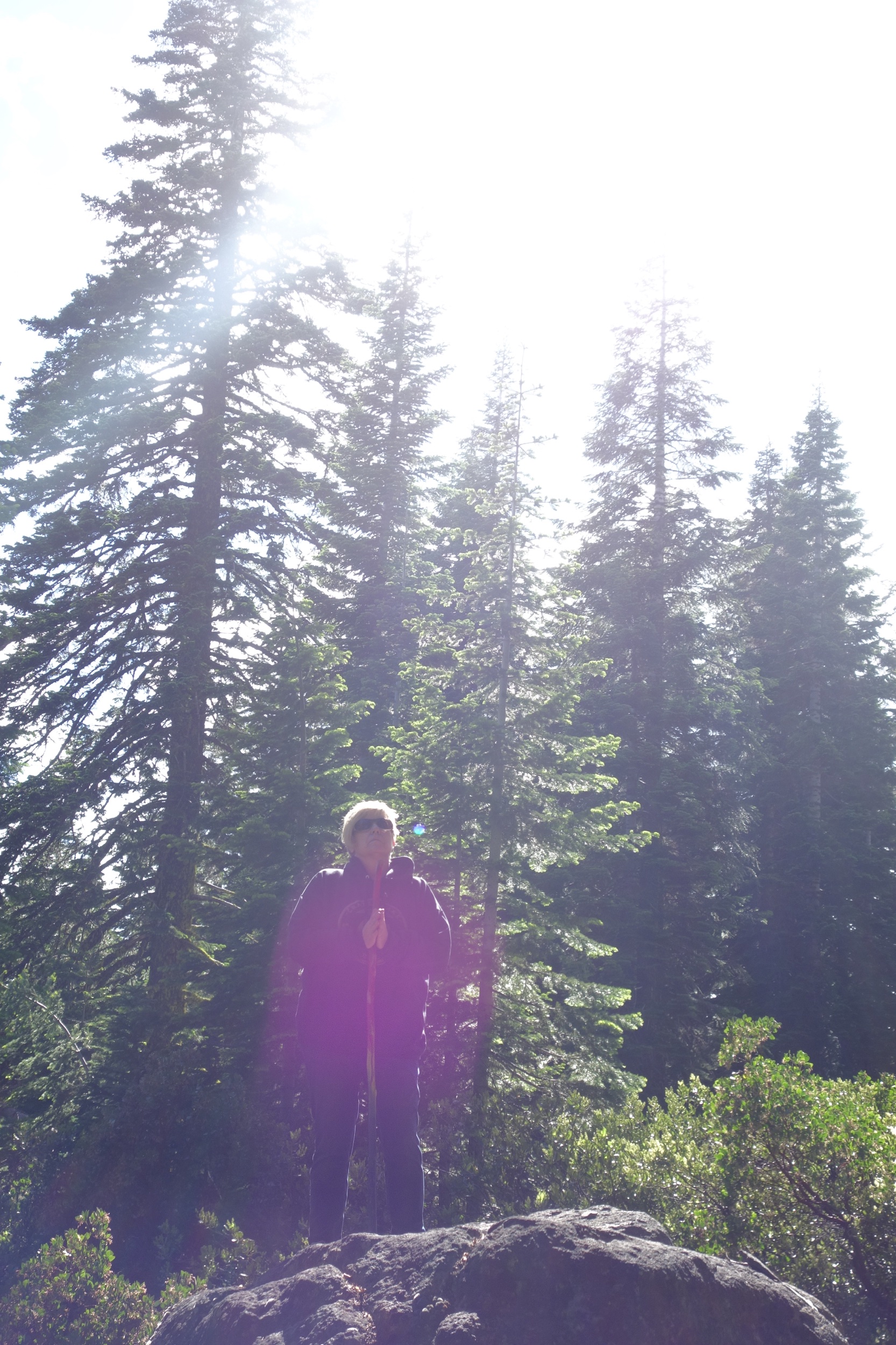 Mt Shasta Spiritual Tours