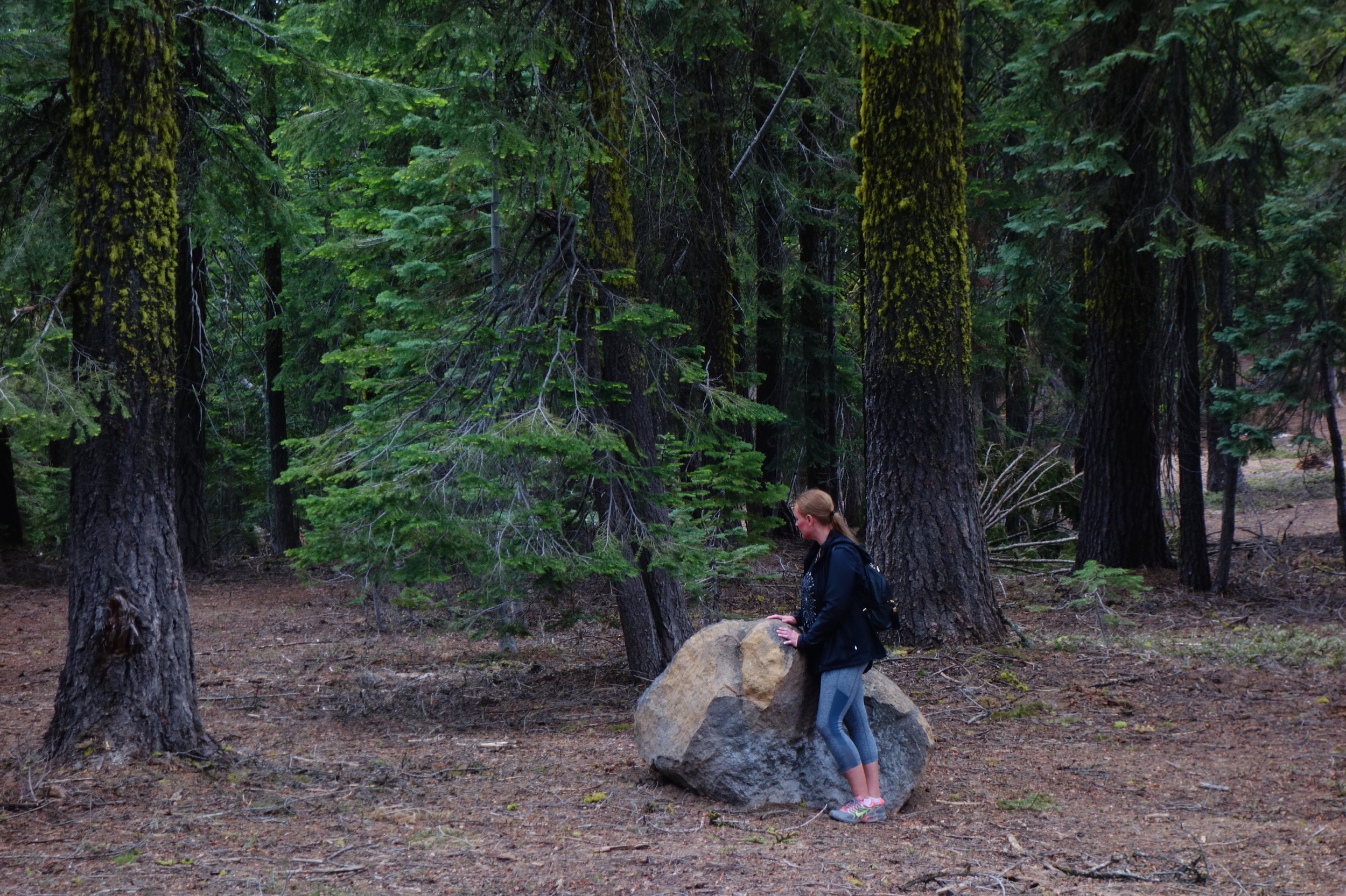 Mt Shasta Spiritual Tours