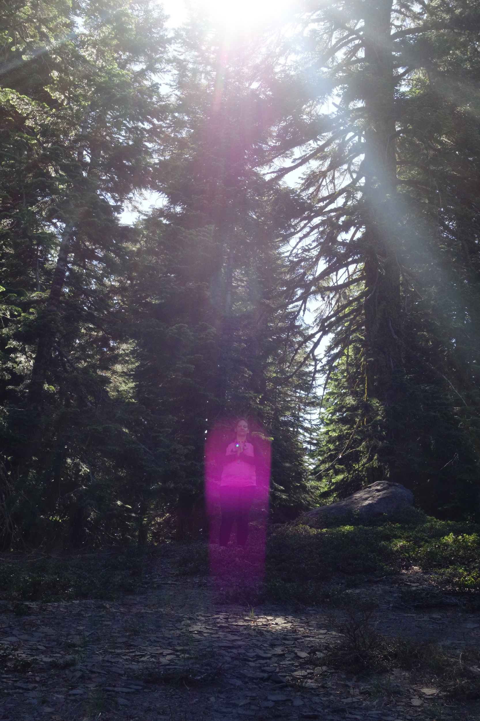 Mt Shasta Spiritual Tours