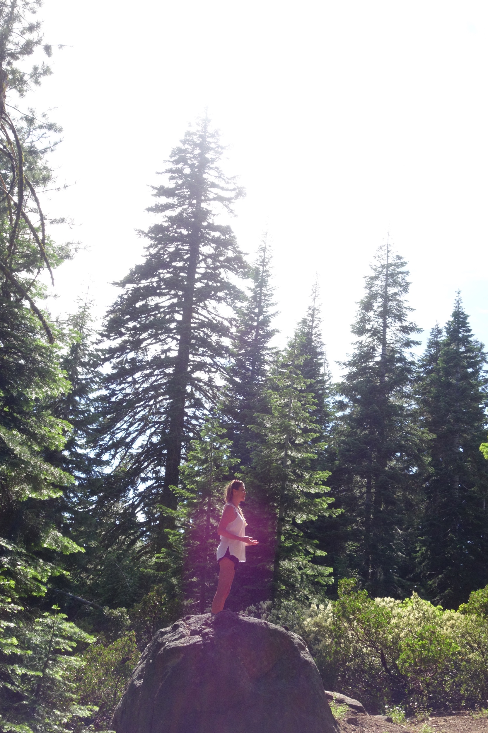 DSC06676.jpeg