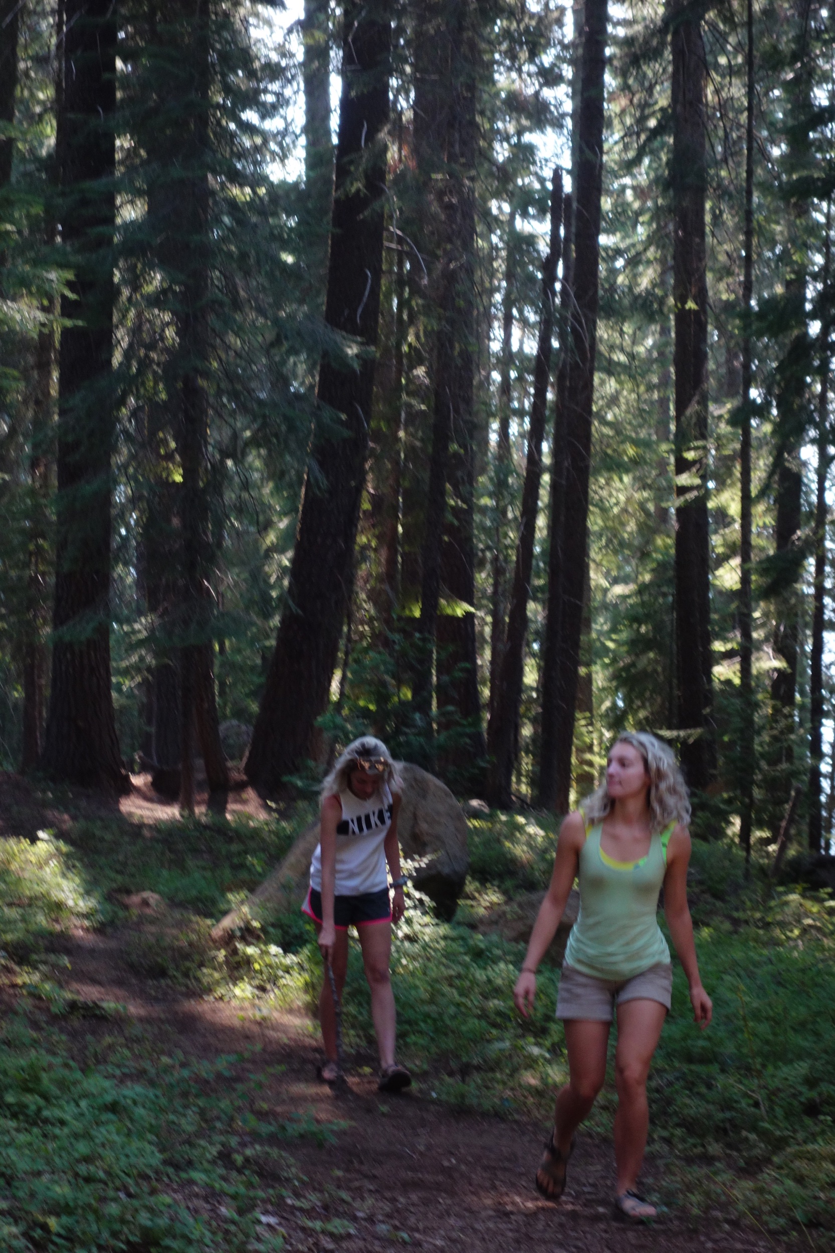 Mt Shasta Spiritual Tours
