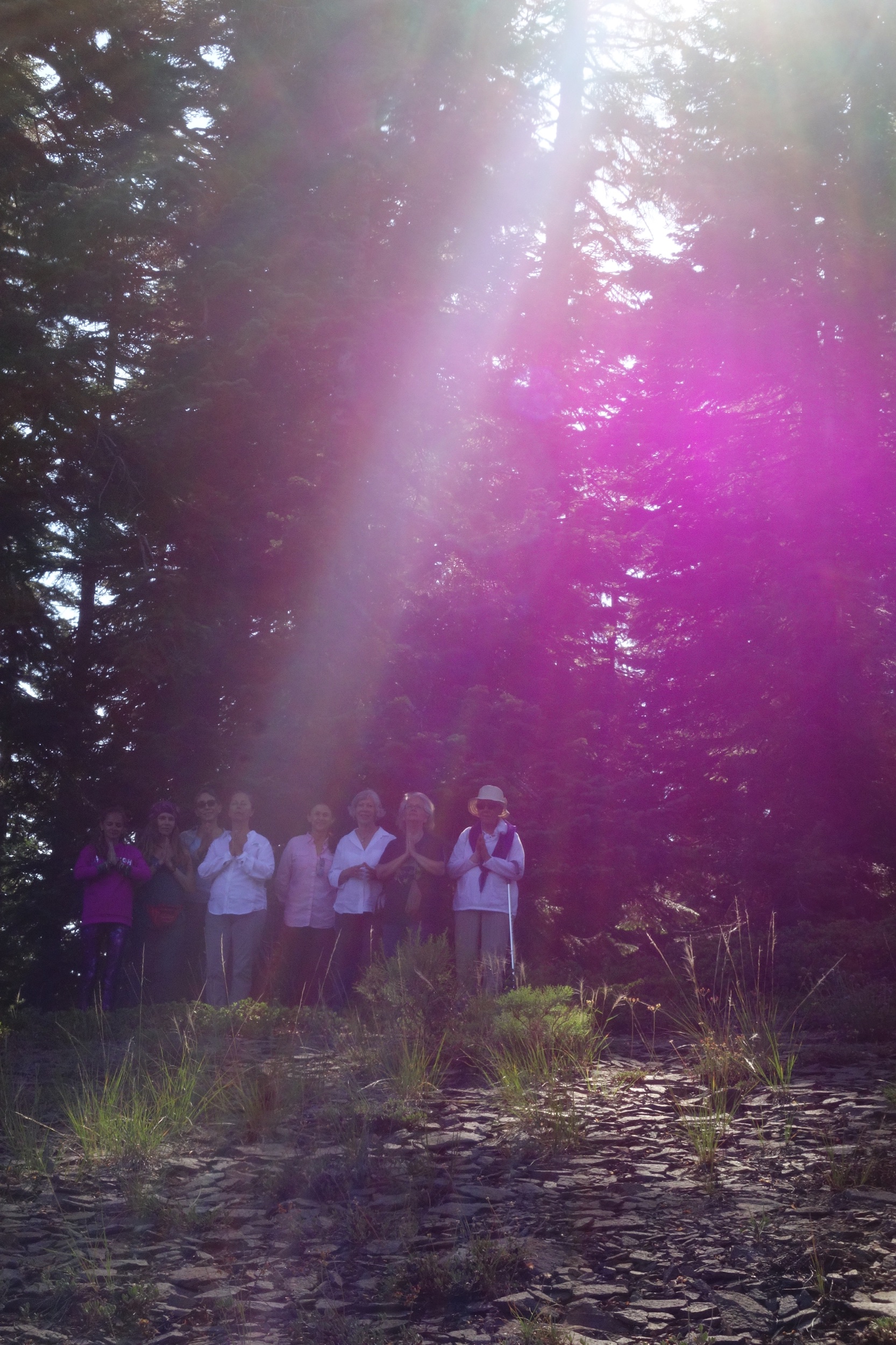 Mt Shasta Spiritual Tours