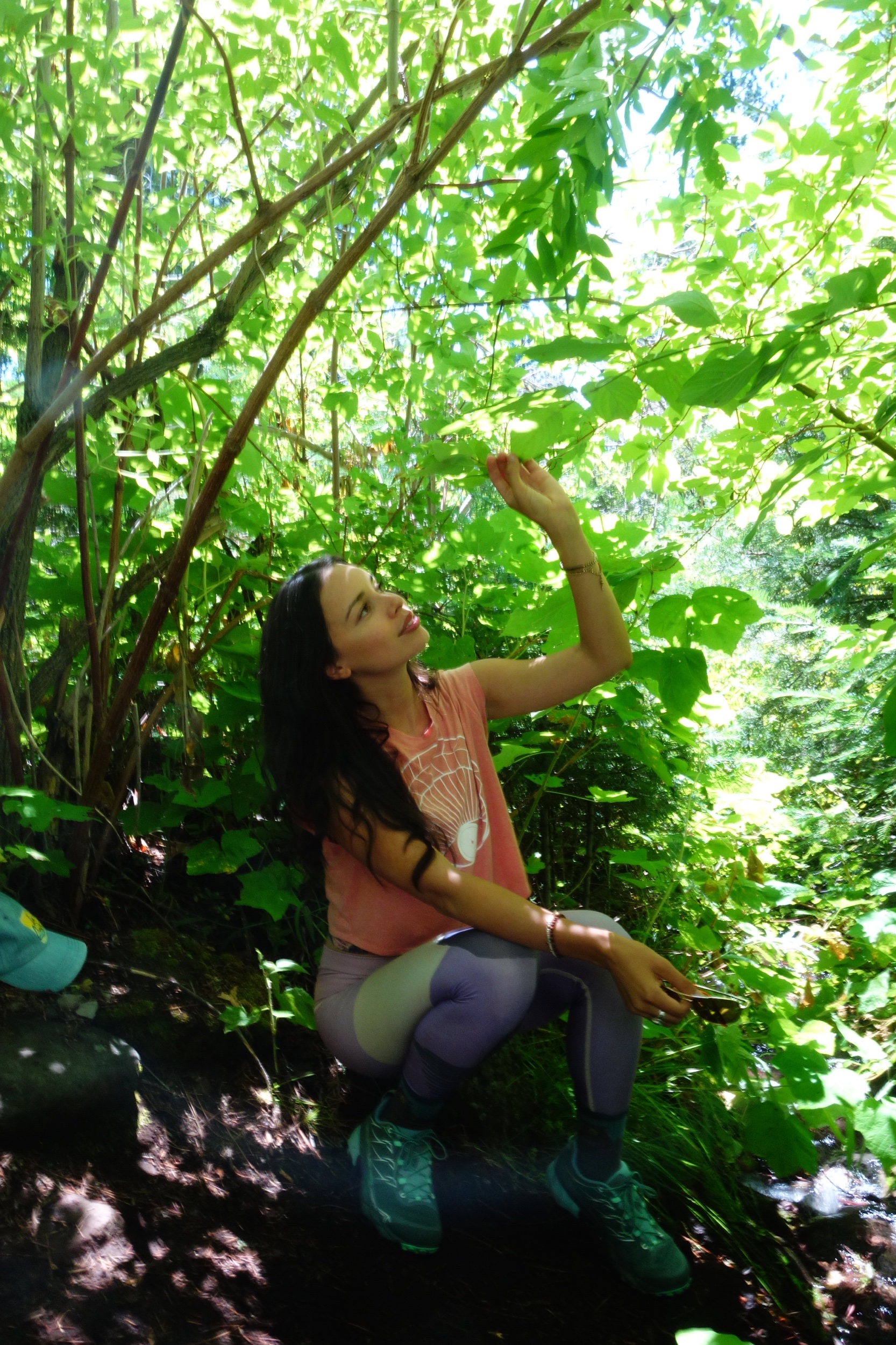 Mt Shasta Spiritual Tours