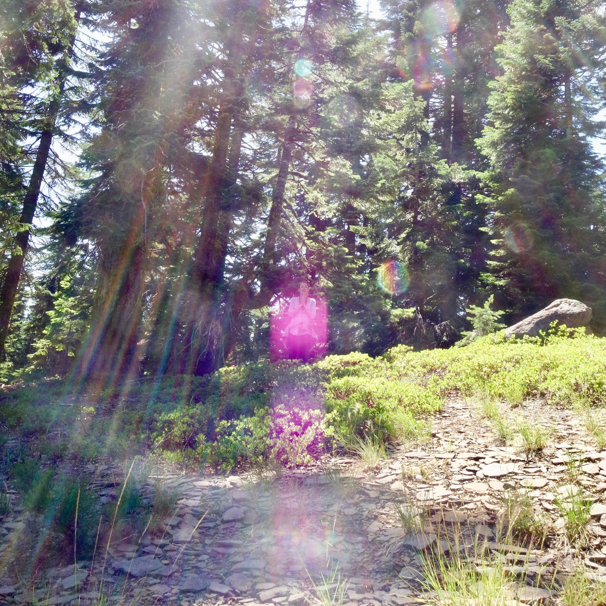 Mt Shasta Spiritual Tours