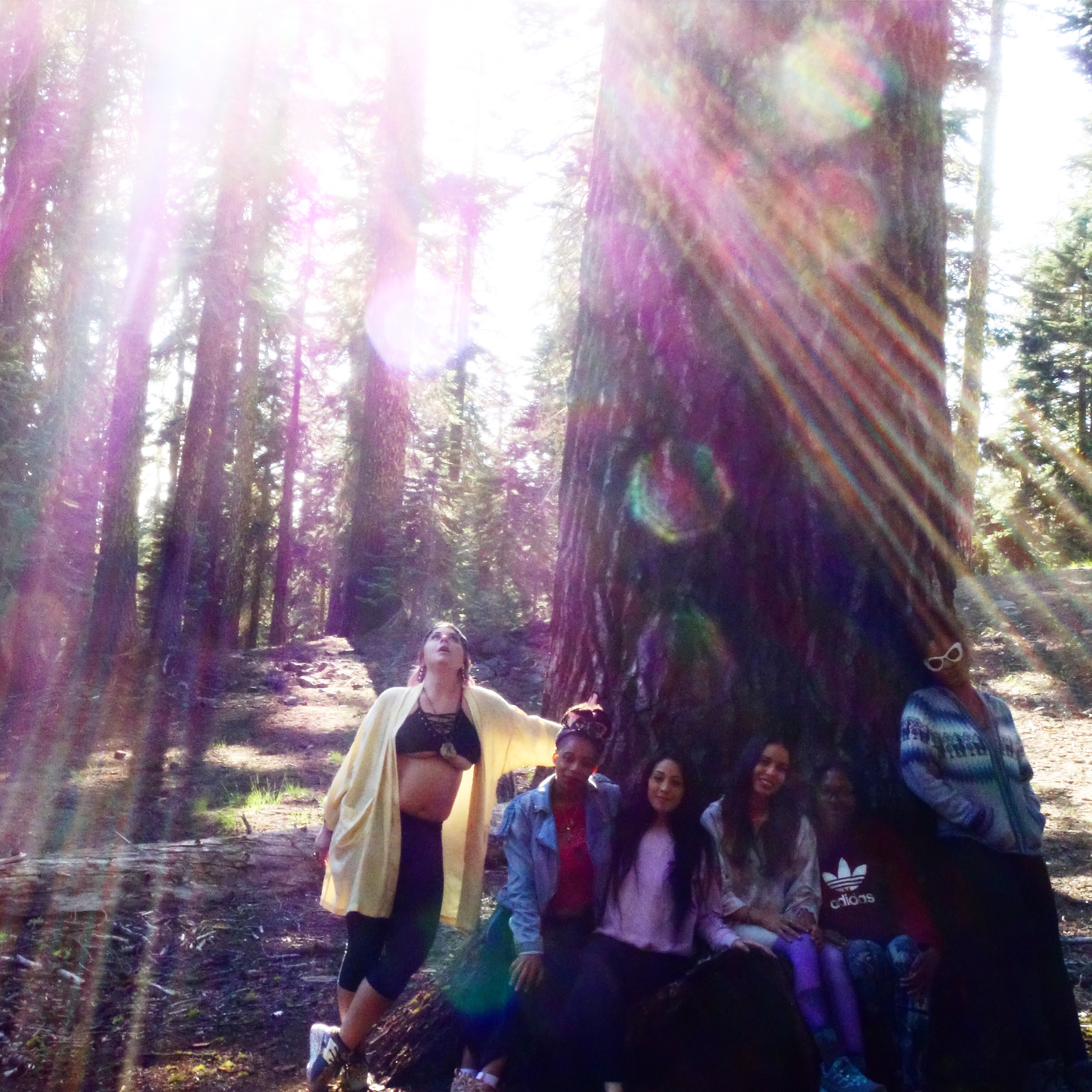 Mt Shasta Spiritual Tours