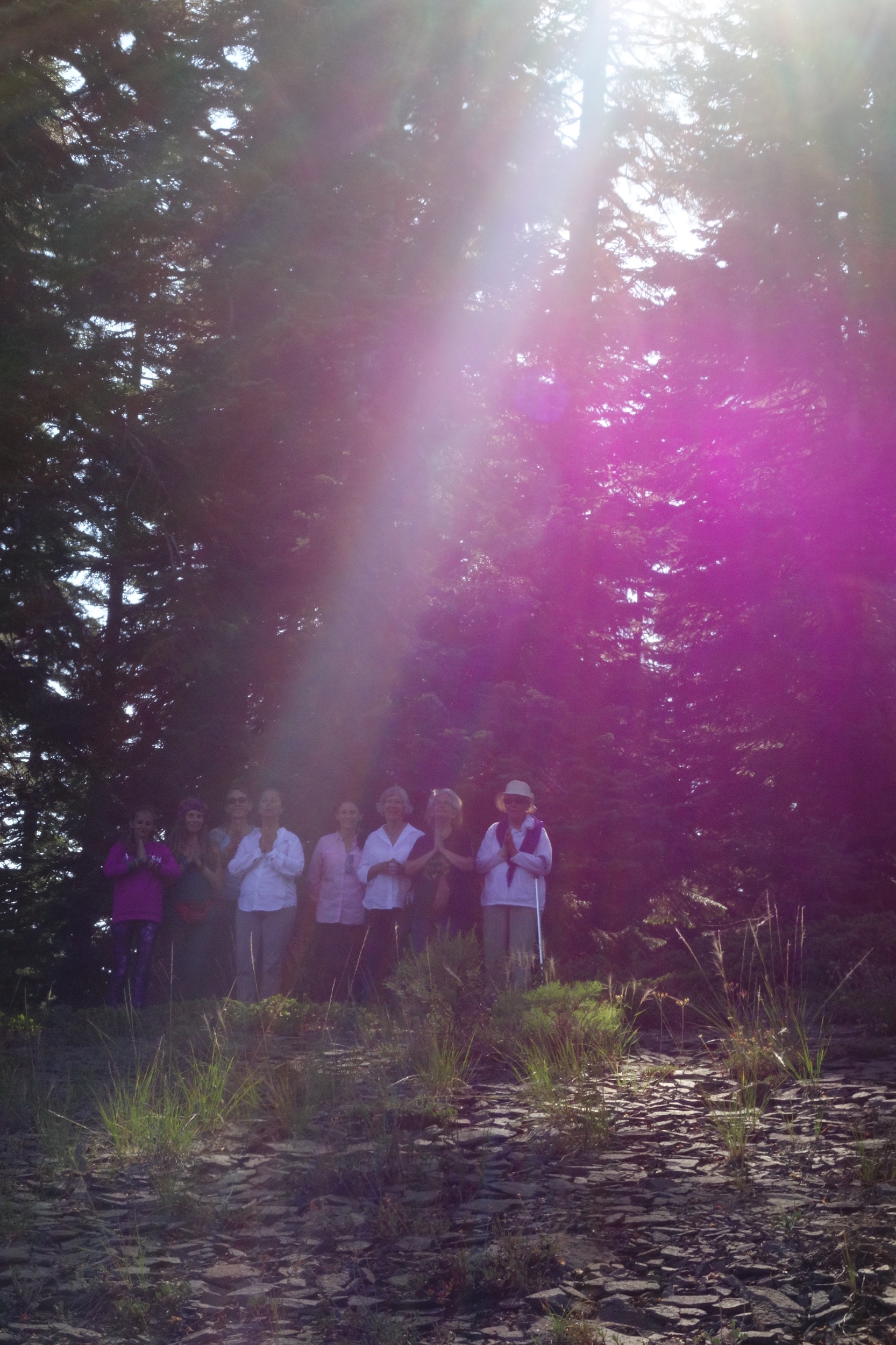 Mt Shasta Spiritual Tours