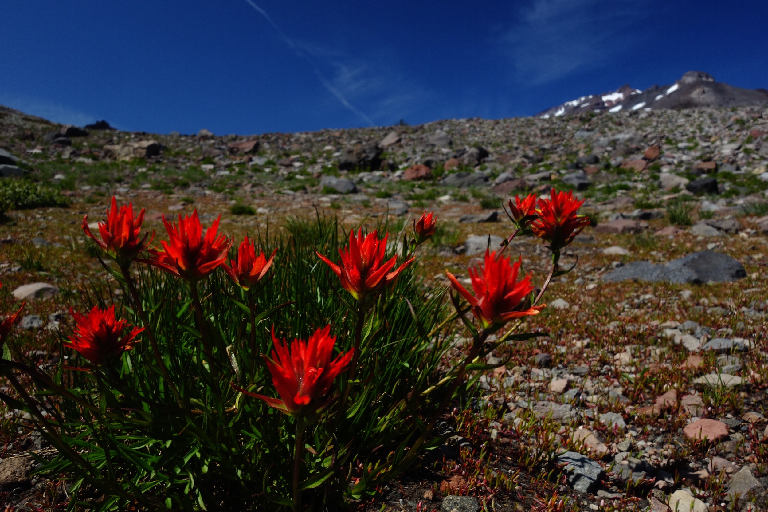 Mt Shasta Spiritual Tours