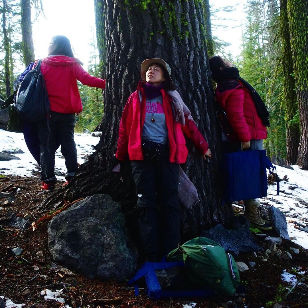 Mt Shasta Spiritual Tours