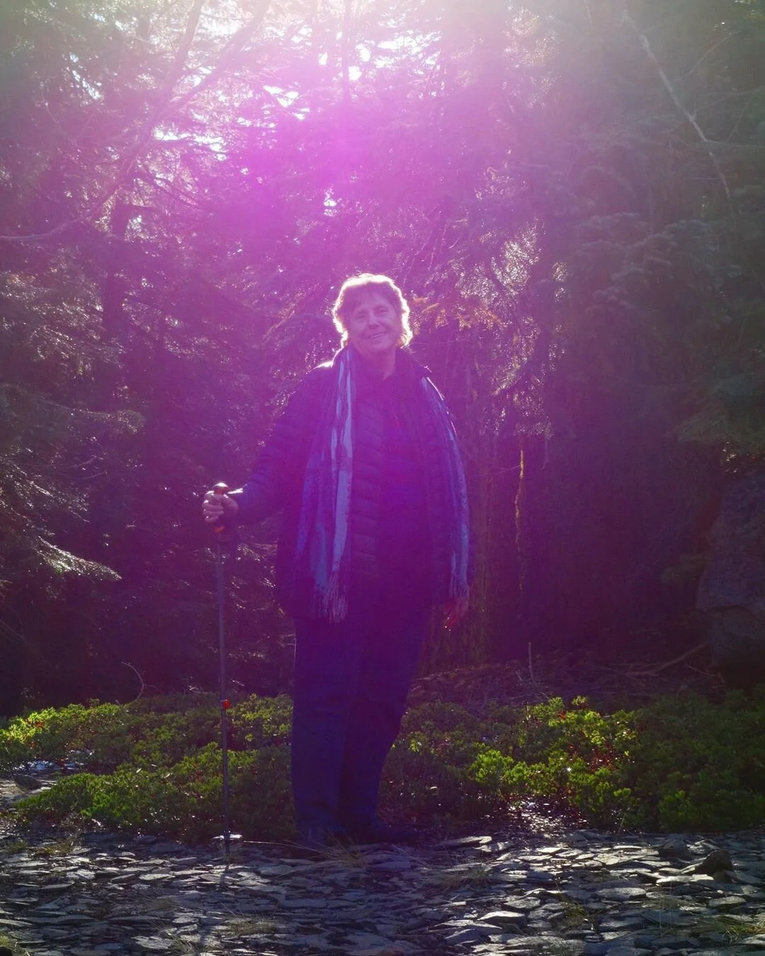 Mt Shasta Spiritual Tours