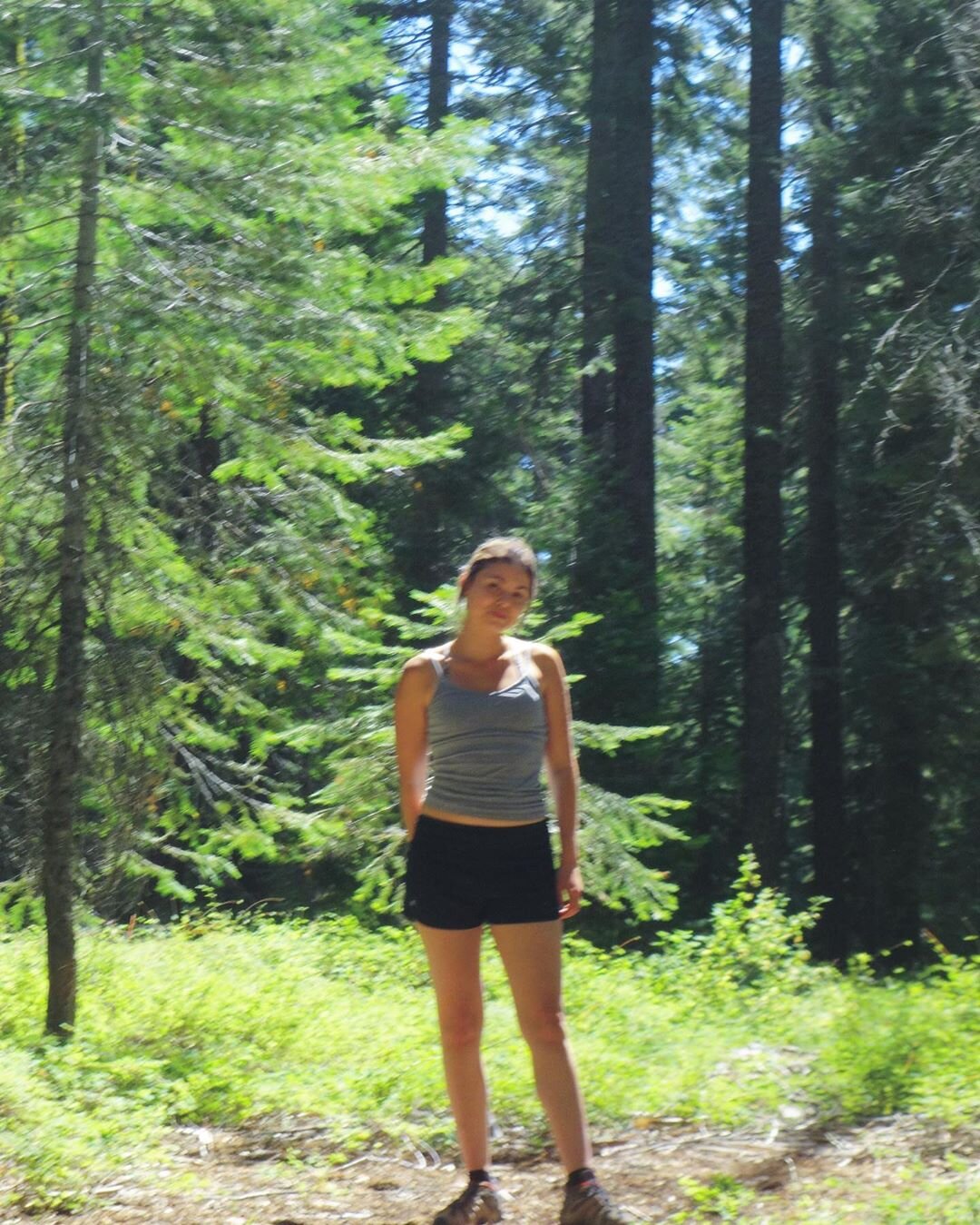 Mt Shasta Spiritual Tours