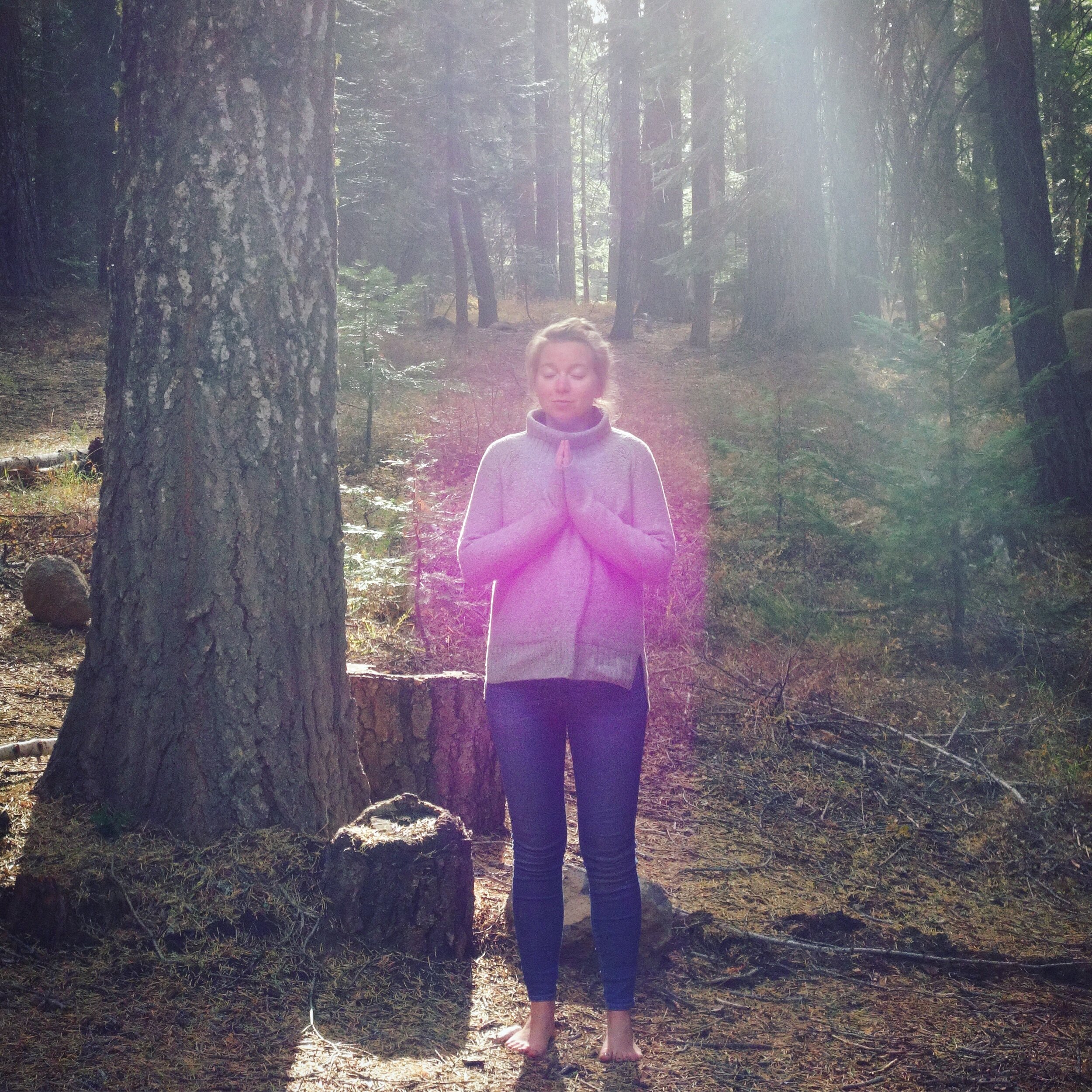 BC3EC558-21E3-4BC5-A55C-5274519963E2.jpeg