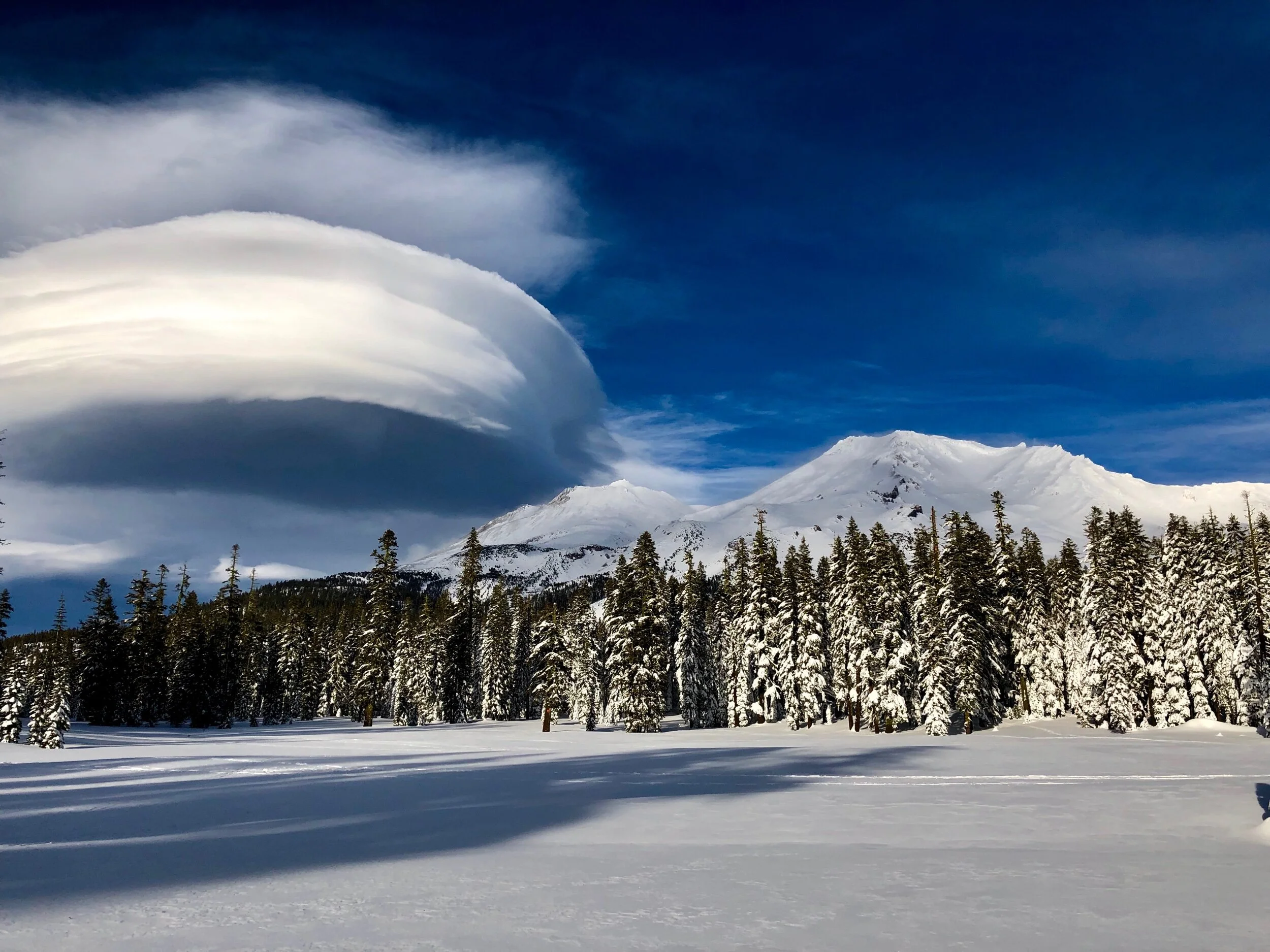Mt. Shasta Spiritual Tours Saint Germain And Sanat Kumara