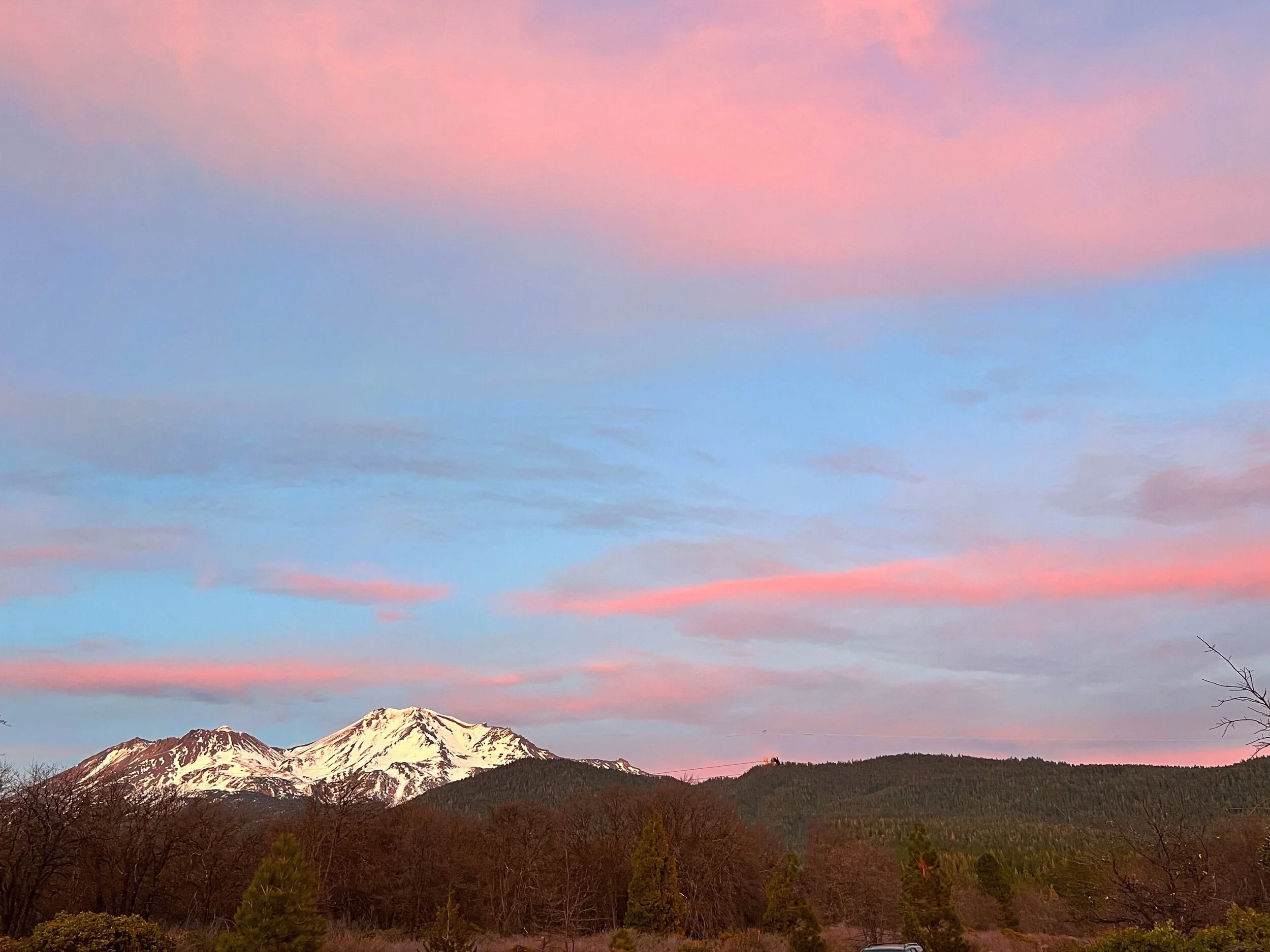 D990CAFD-233A-4B31-9A38-67407ECB0BAD