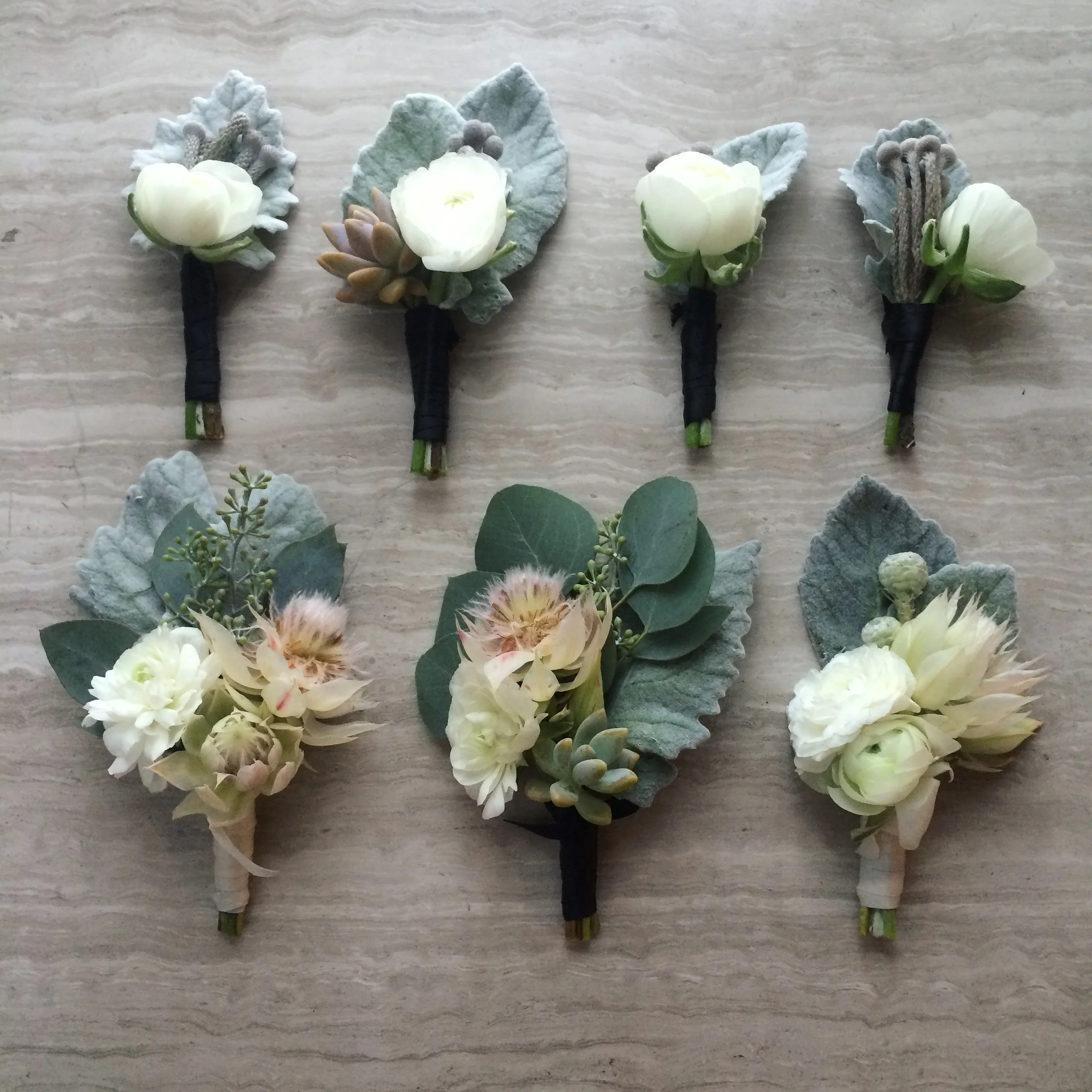   Aurelia D’amore Photography  