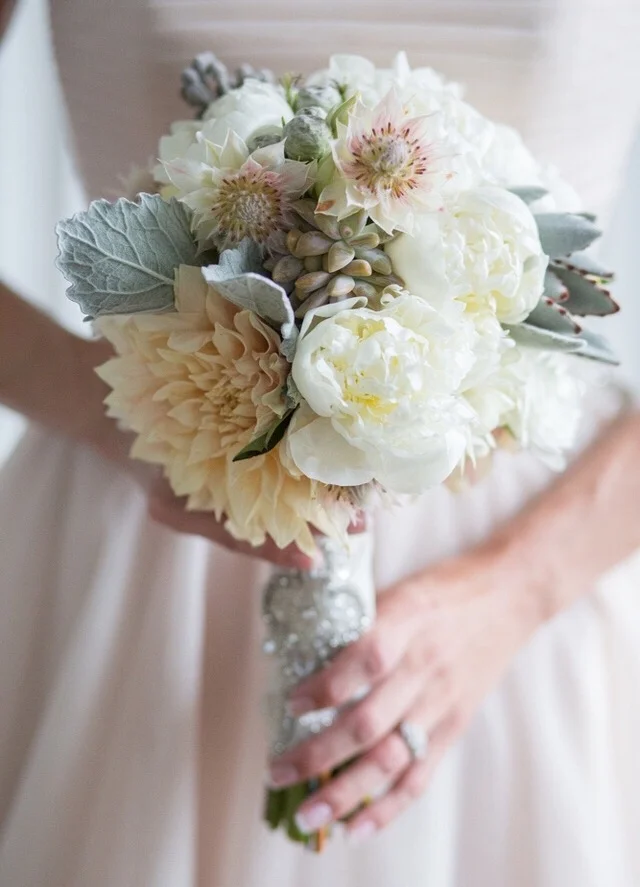   aurelia d’amore photography   