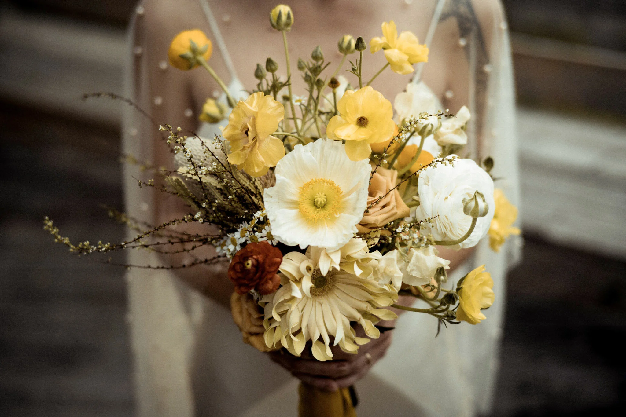   will fryar photography  