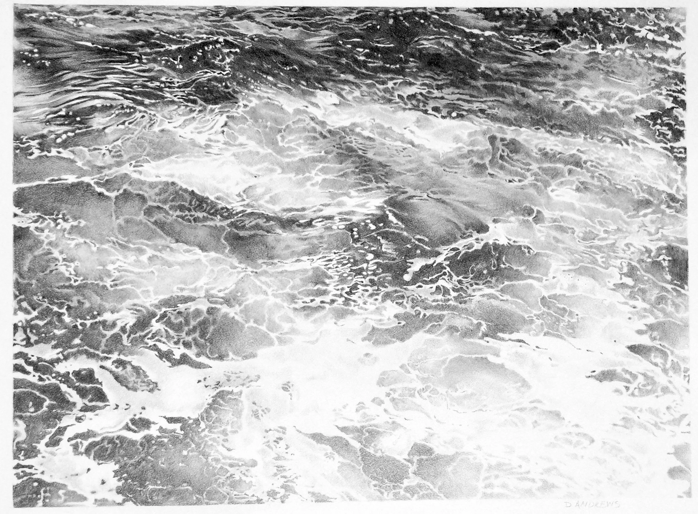 Sea Lace