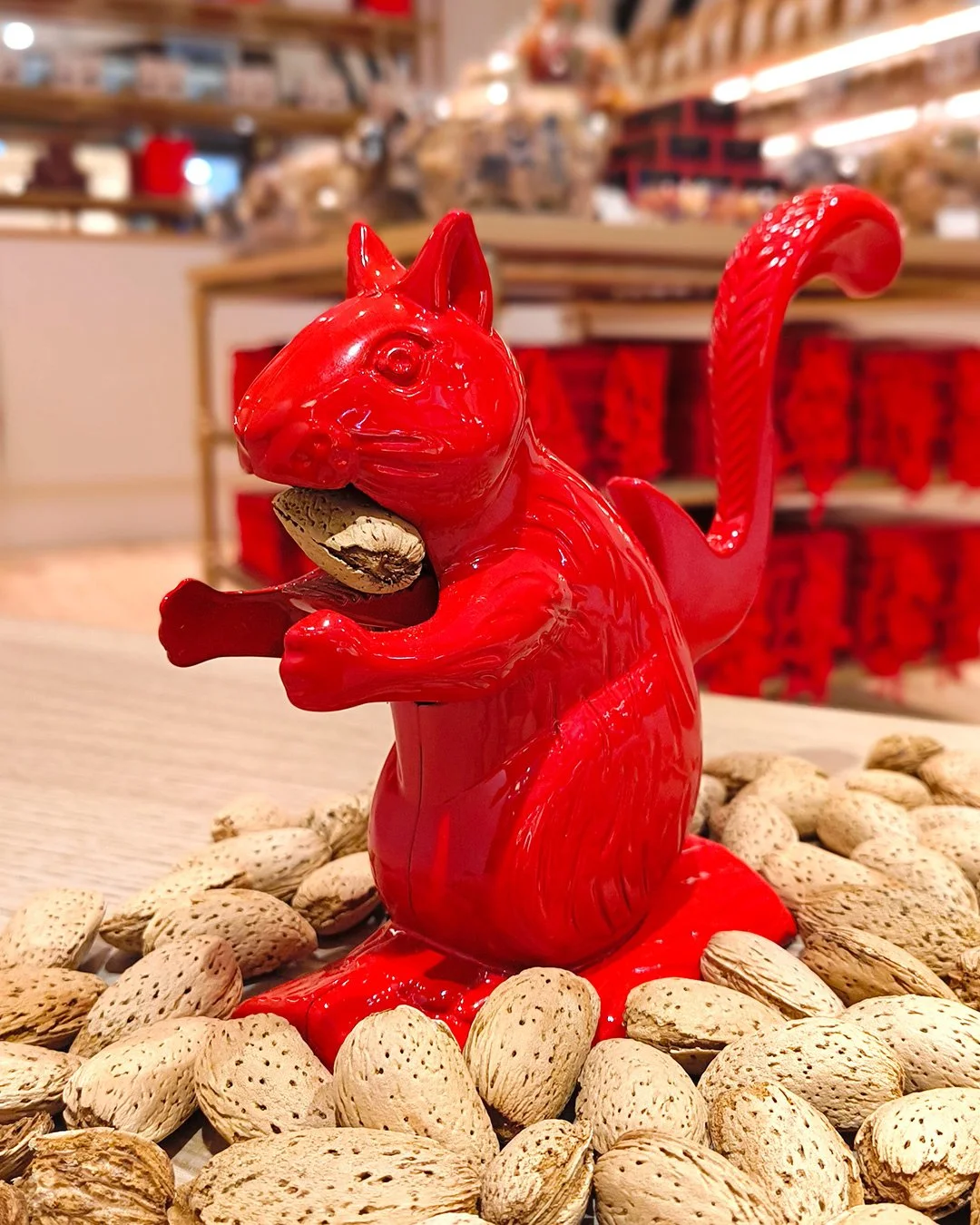 ❤️🐿 Look what just landed in our shop in time for the school holidays!! Help us name our little red nut-cracking squirrel. Comment with the first name that comes to your mind.