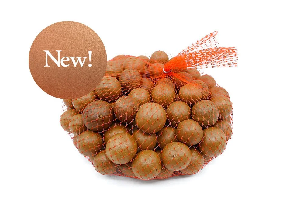 Raw Macadamias in Shell