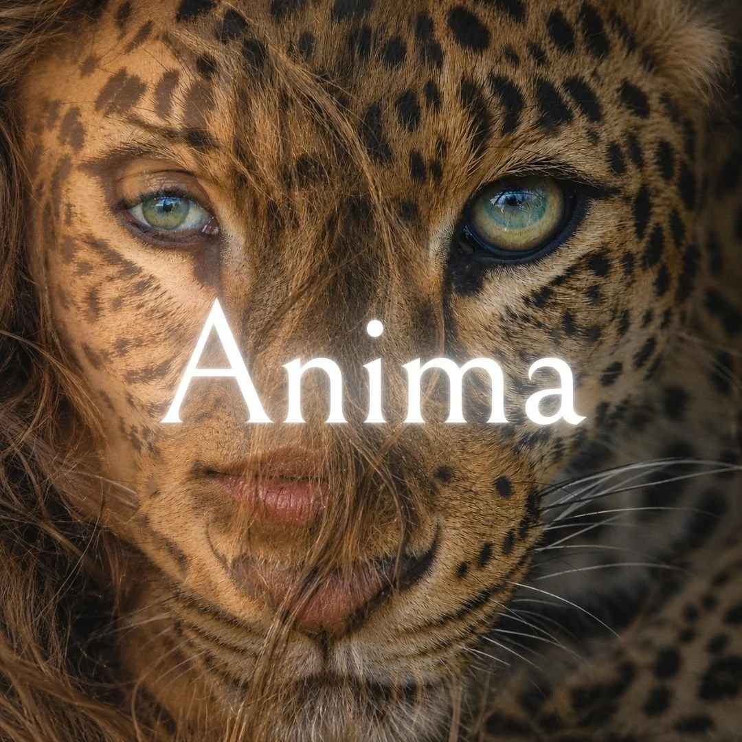 Anima (4).jpg