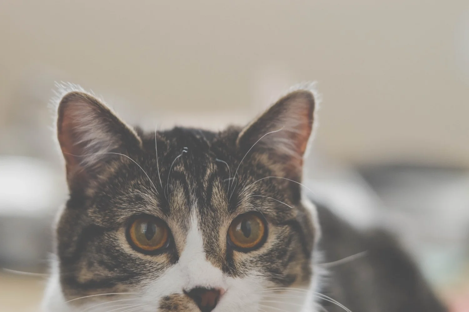 chinda-sam-253362-unsplash-min.jpg