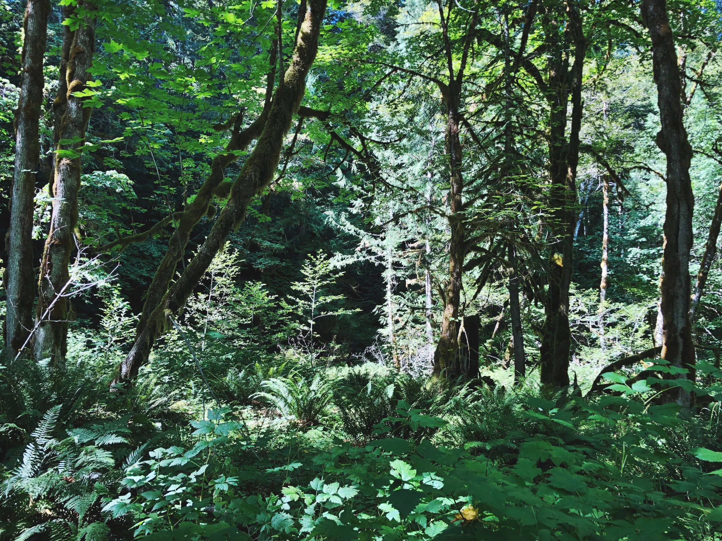 How To Be A Woke White Person Online