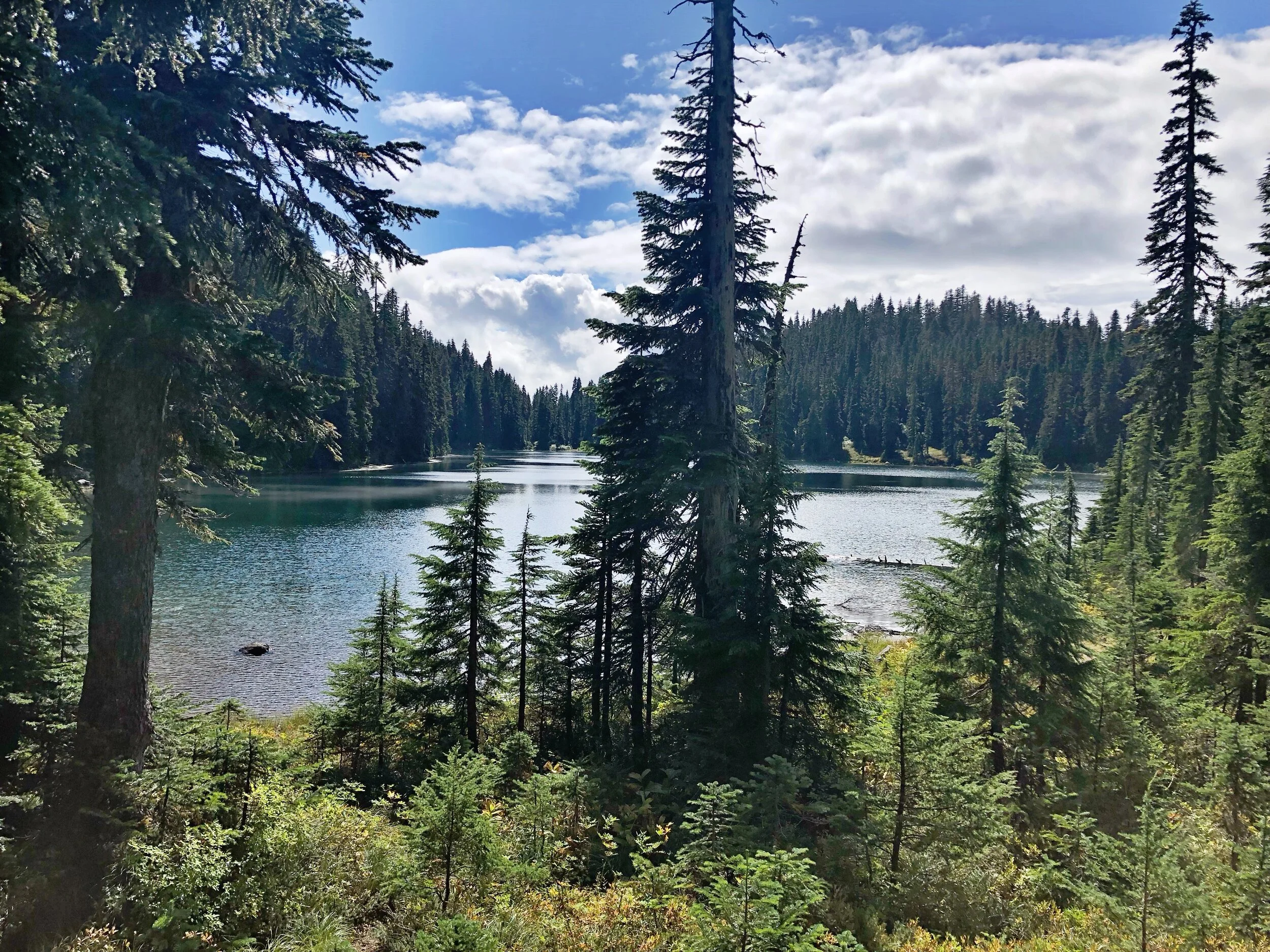 You Do Not Get To Demand Free Education