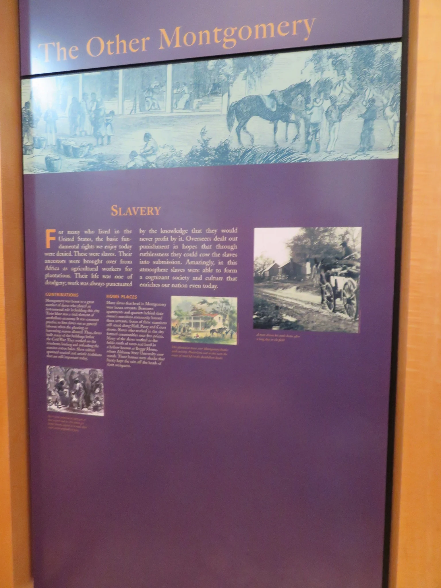 7583944240_IMG_0591.jpg