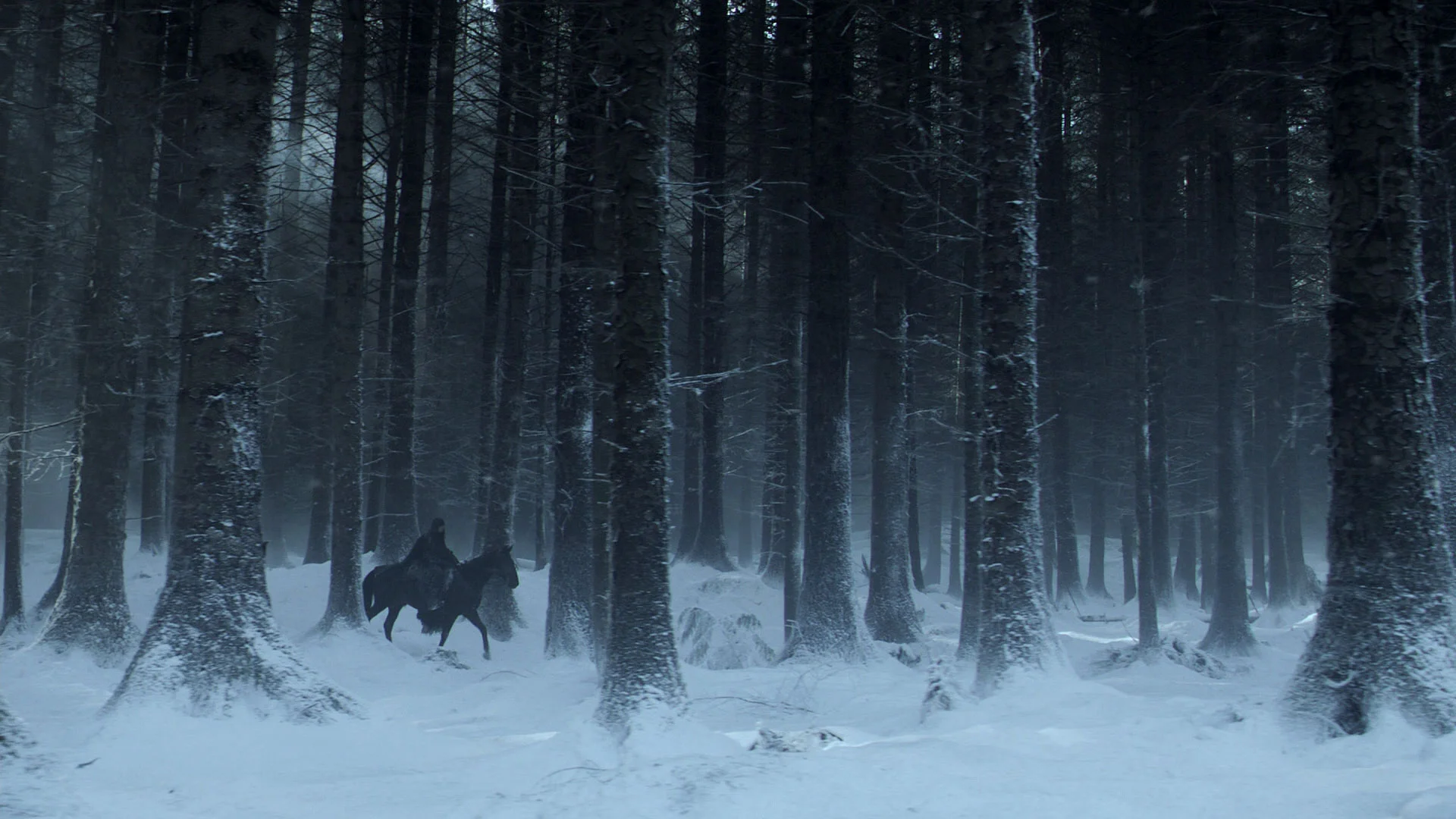 Into the wild
