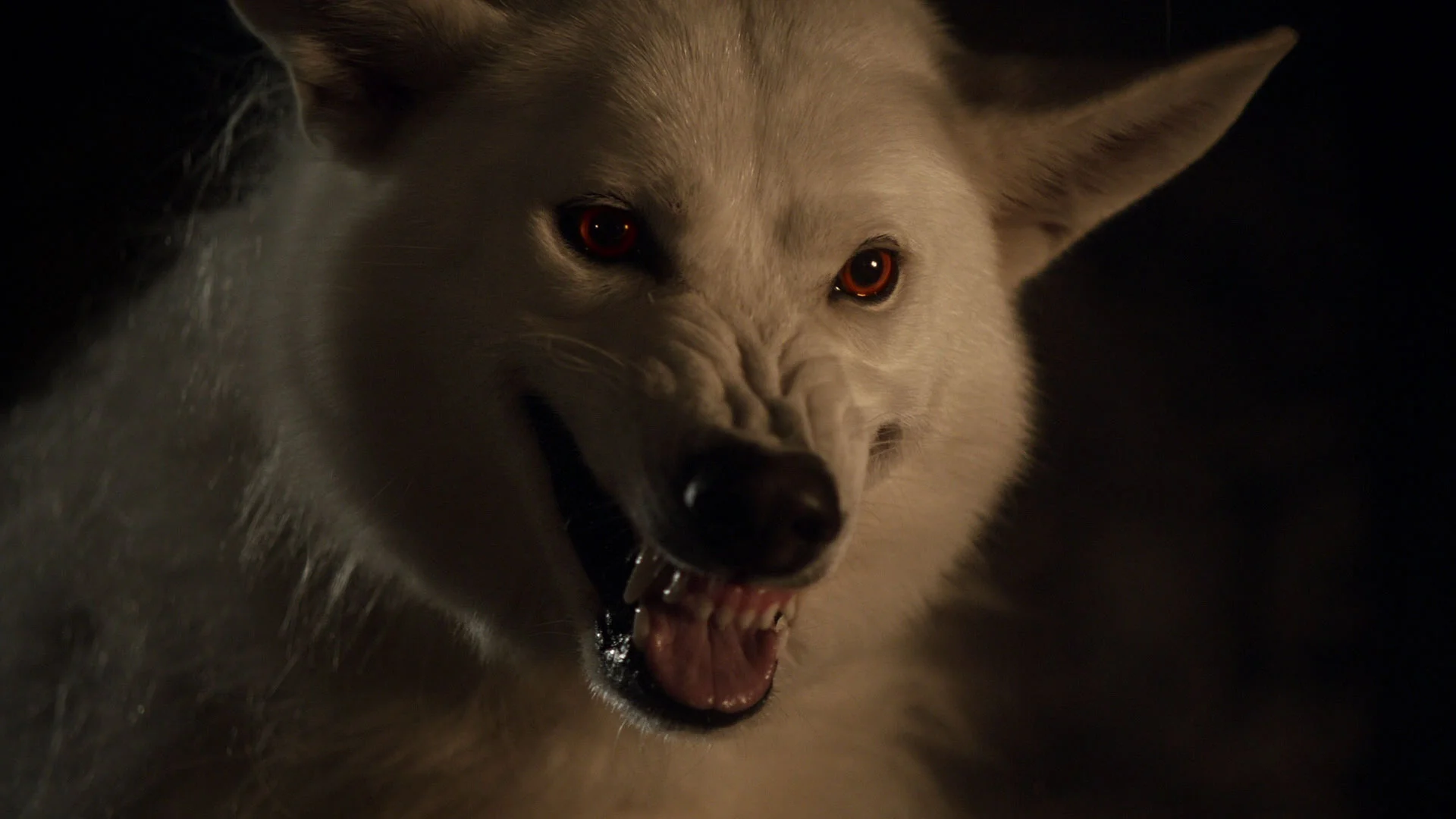 game-of-thrones-season-01-episode-04-screenshot-69.jpg