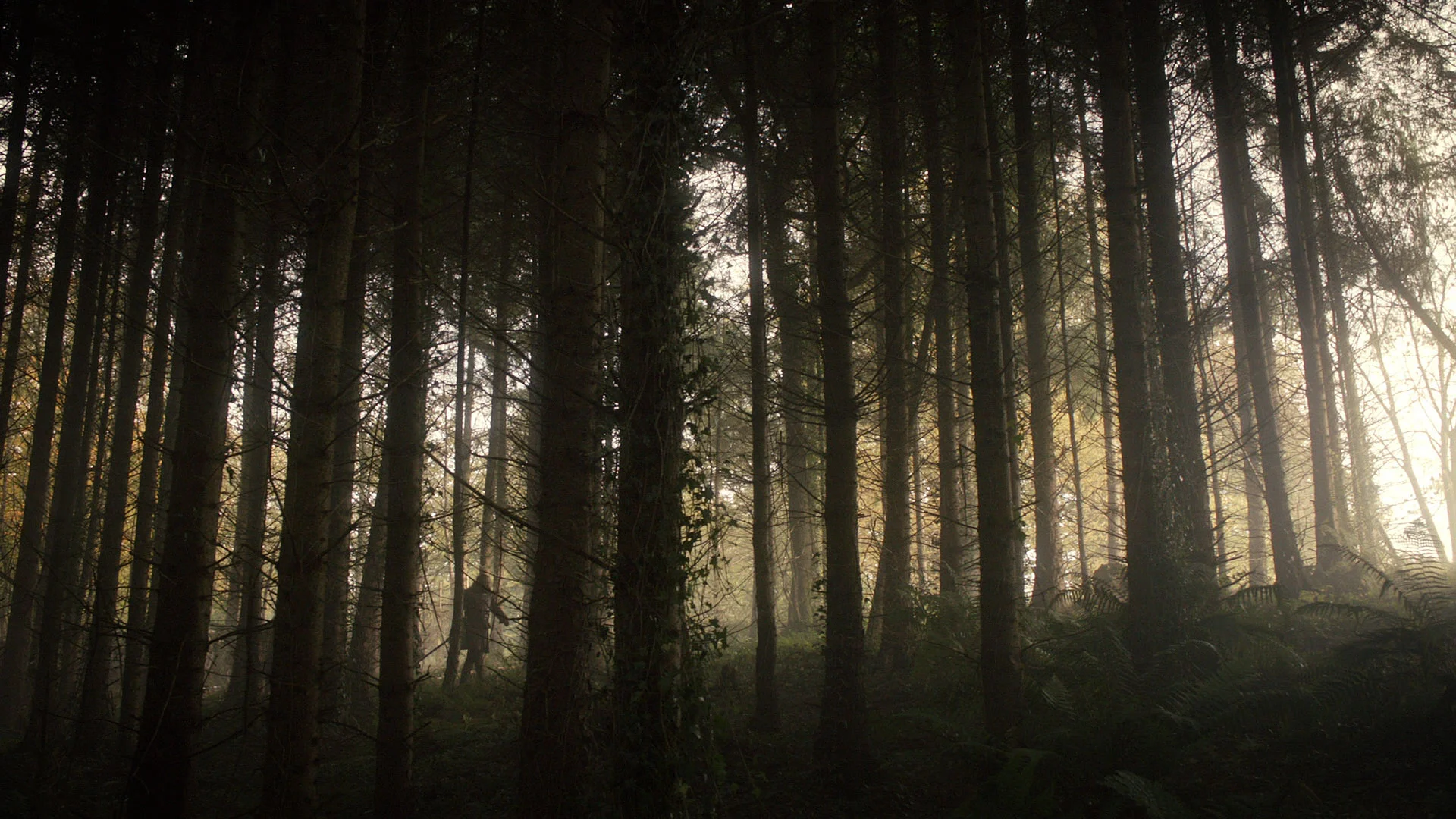 game-of-thrones-season-01-episode-06-screenshot-49.jpg