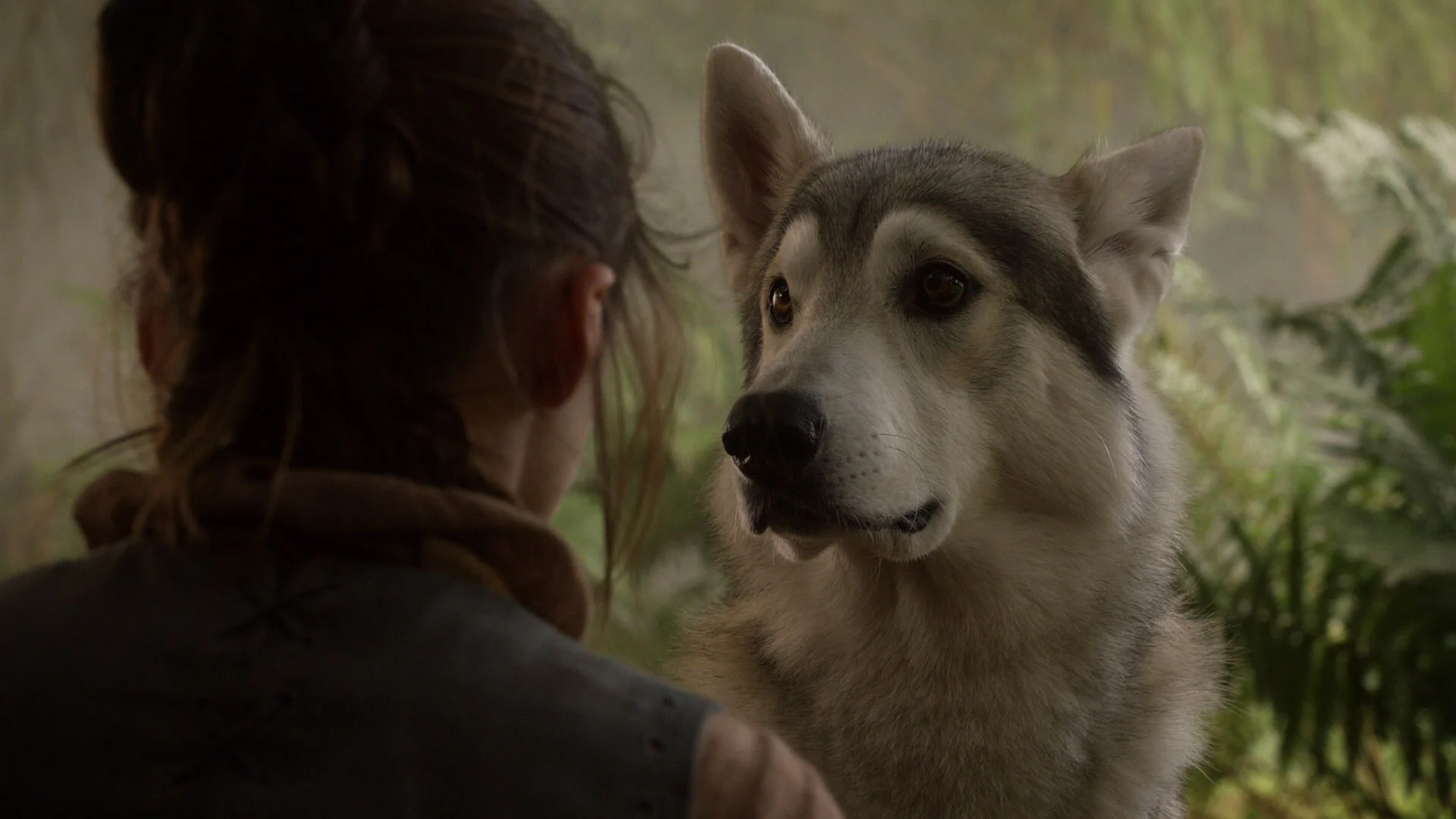 game-of-thrones-season-01-episode-02-screenshot-128.jpg