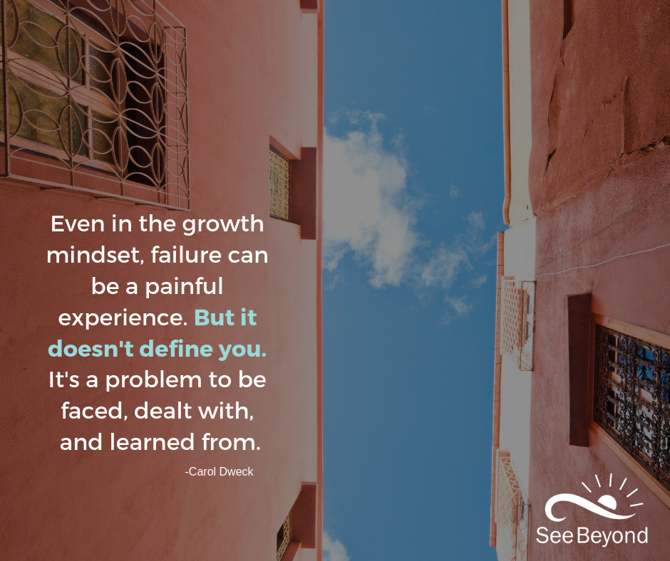 Even in the growth mindset, failure can be a painful experience. But it doesn't define you. It's a problem to be faced, dealt with, and learned from..png