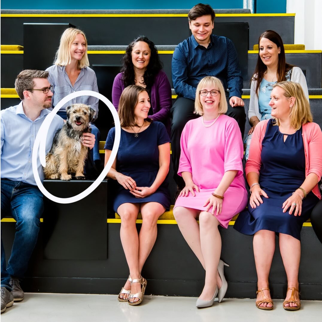 Behind every successful team is a loyal office dog! 🐶 Including a pup in the picture isn&rsquo;t just for the &lsquo;aww&rsquo; factor &mdash; it also helps showcase a company&rsquo;s commitment to fostering a welcoming and inclusive atmosphere. Aft