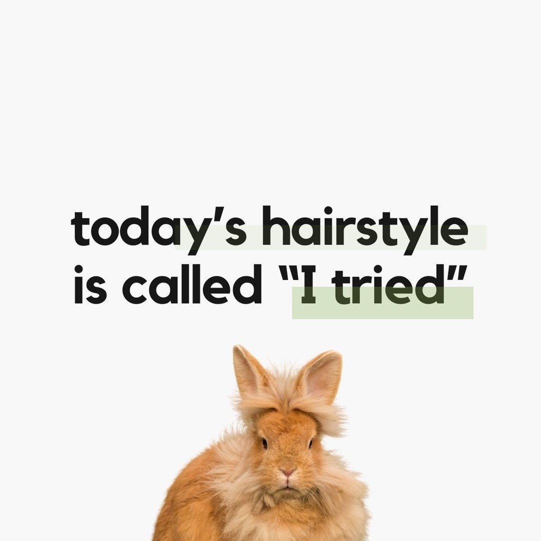 Pro tip: Don't end up like our furry friend here&mdash;always pack a brush or comb for your photoshoot or headshot session 🪮 🐇