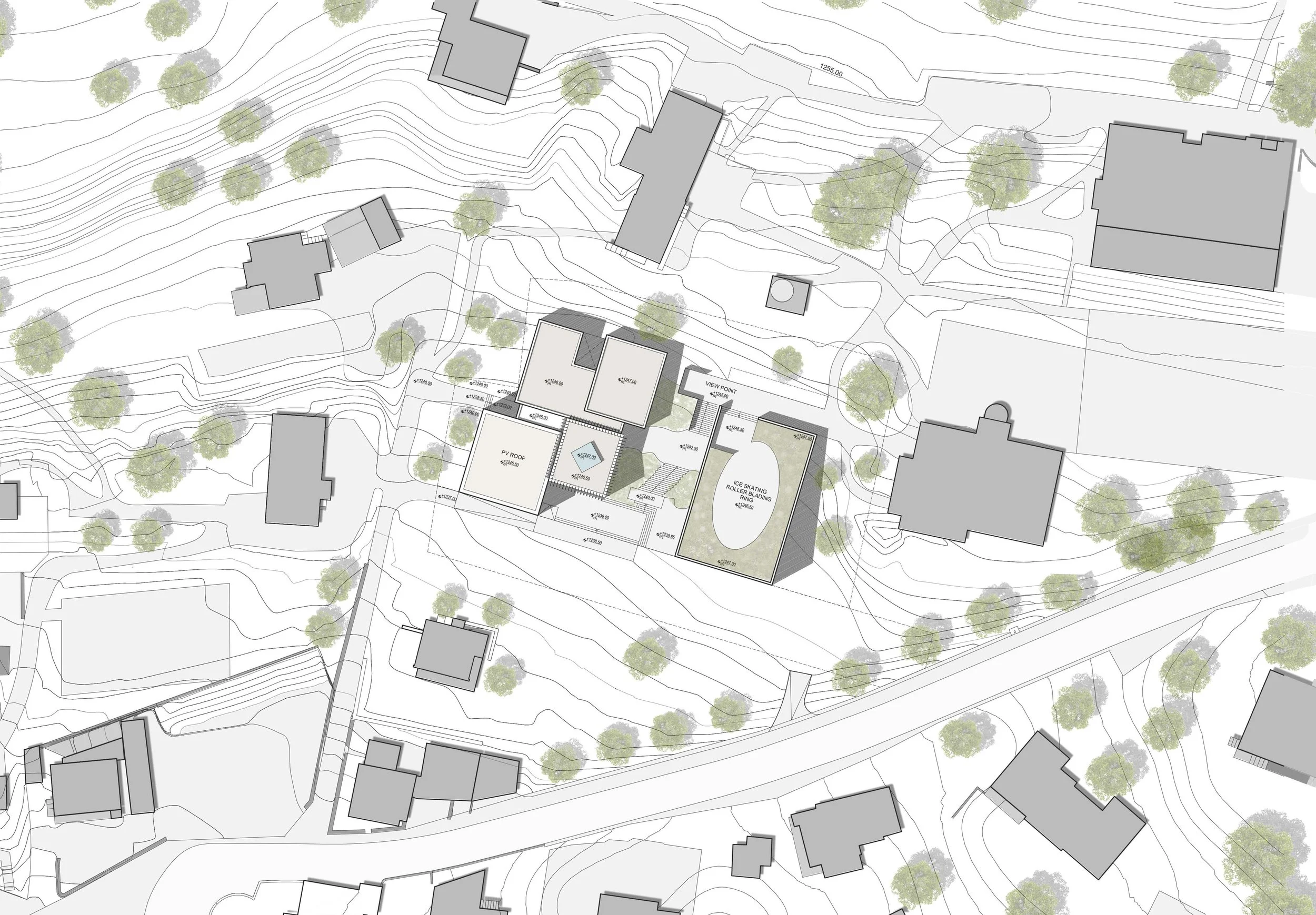 250N_Aiglon_site plan 1 500.jpg