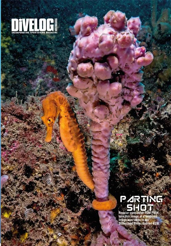 Parting Shot in Dive Log Australasia Magazine - January 2019
